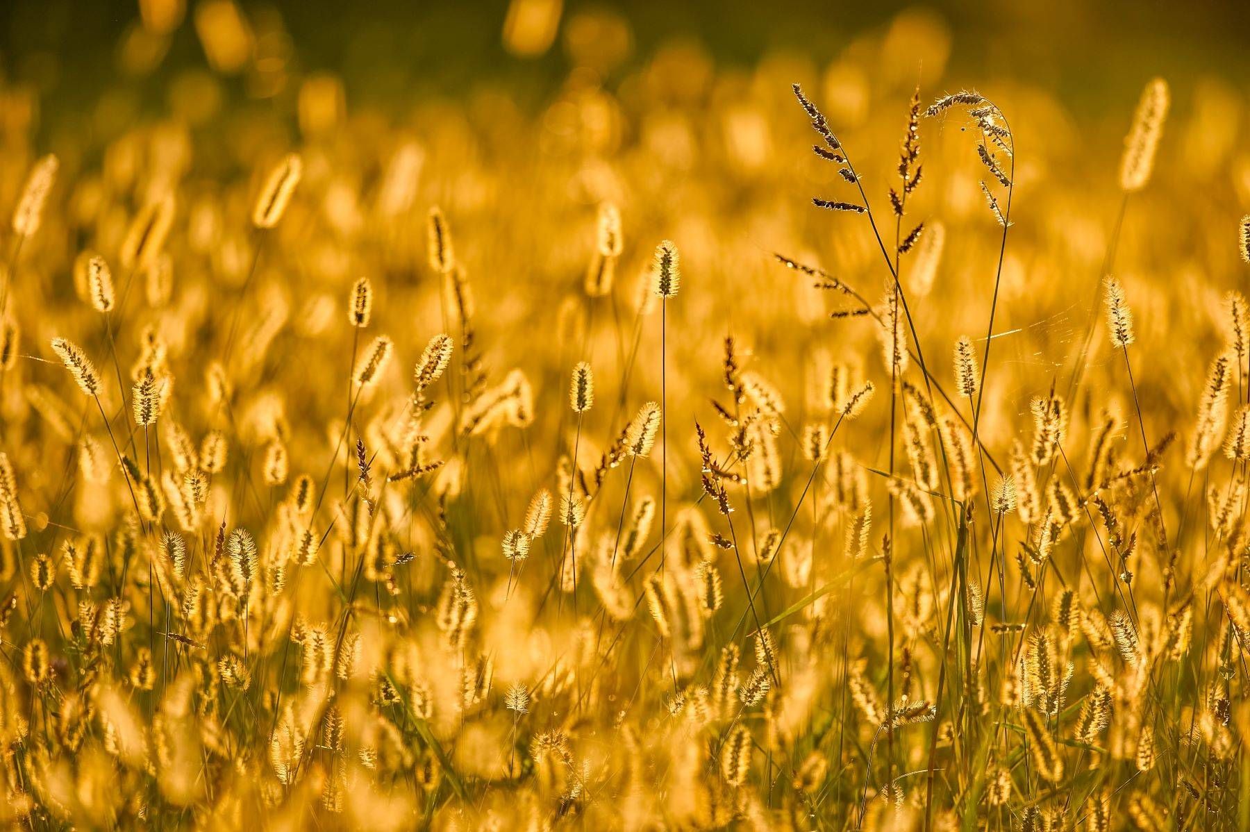 Uno Nessuno Centomila