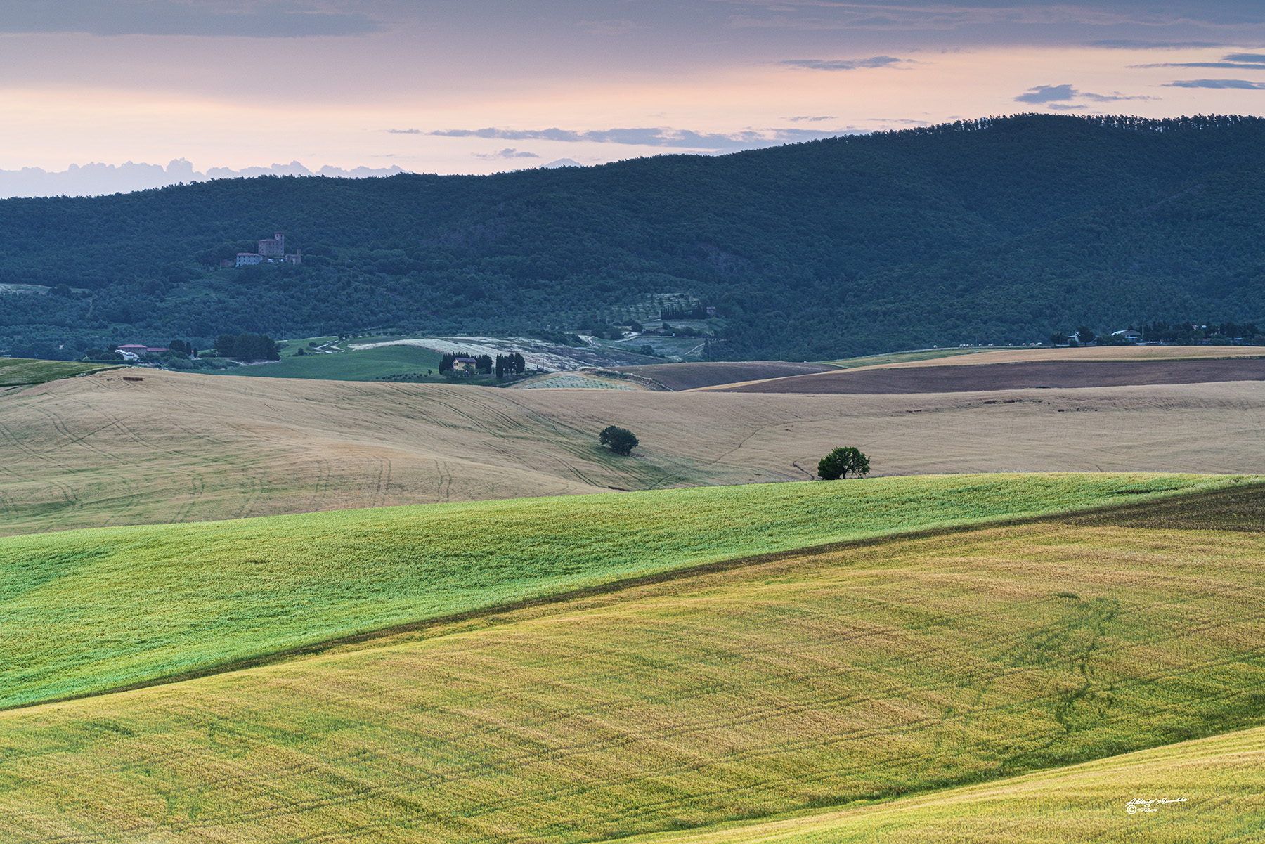 Prime luci dell'alba.. campagna di Orciano Pisano.