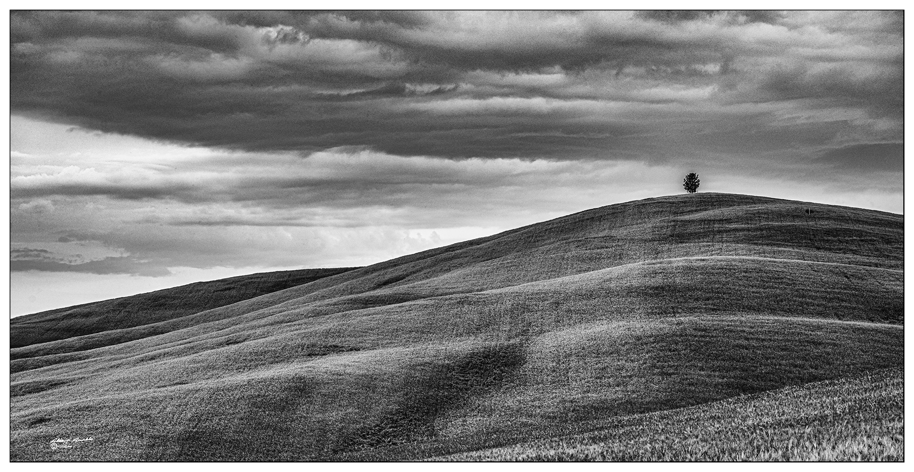 Il piccolo solitario..