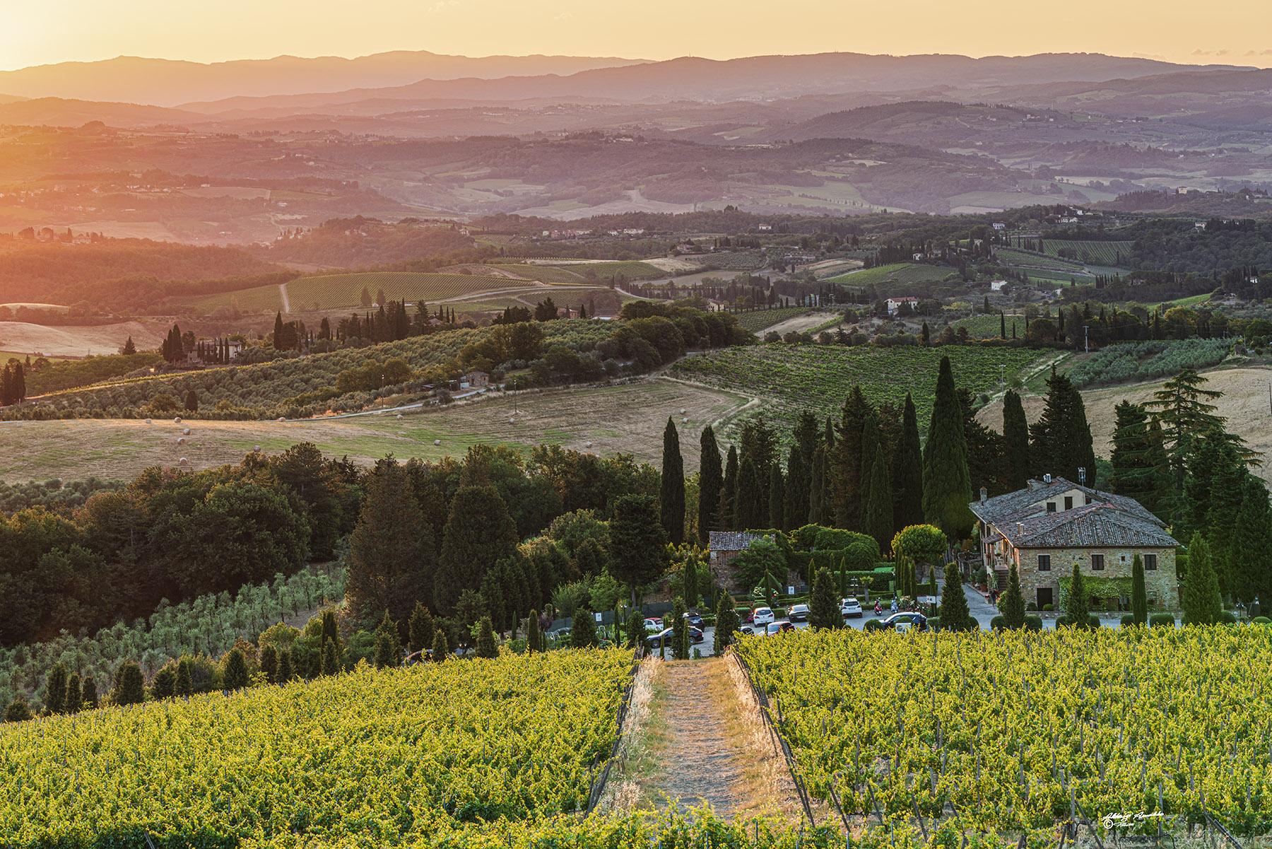 Prime luci sui vigneti dell'l'agriturismo