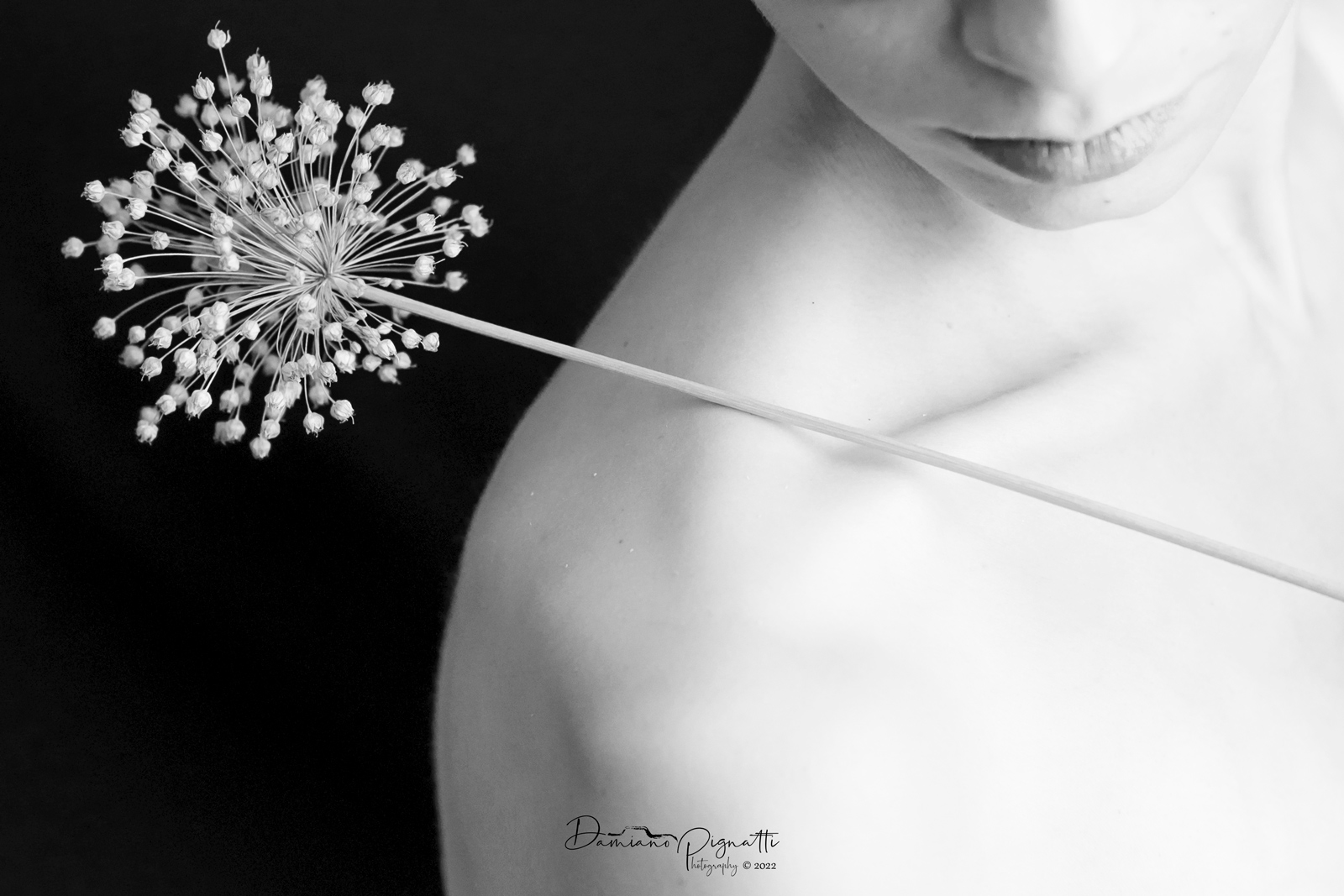 Bianca � la nebbia su cui ci adagiamo