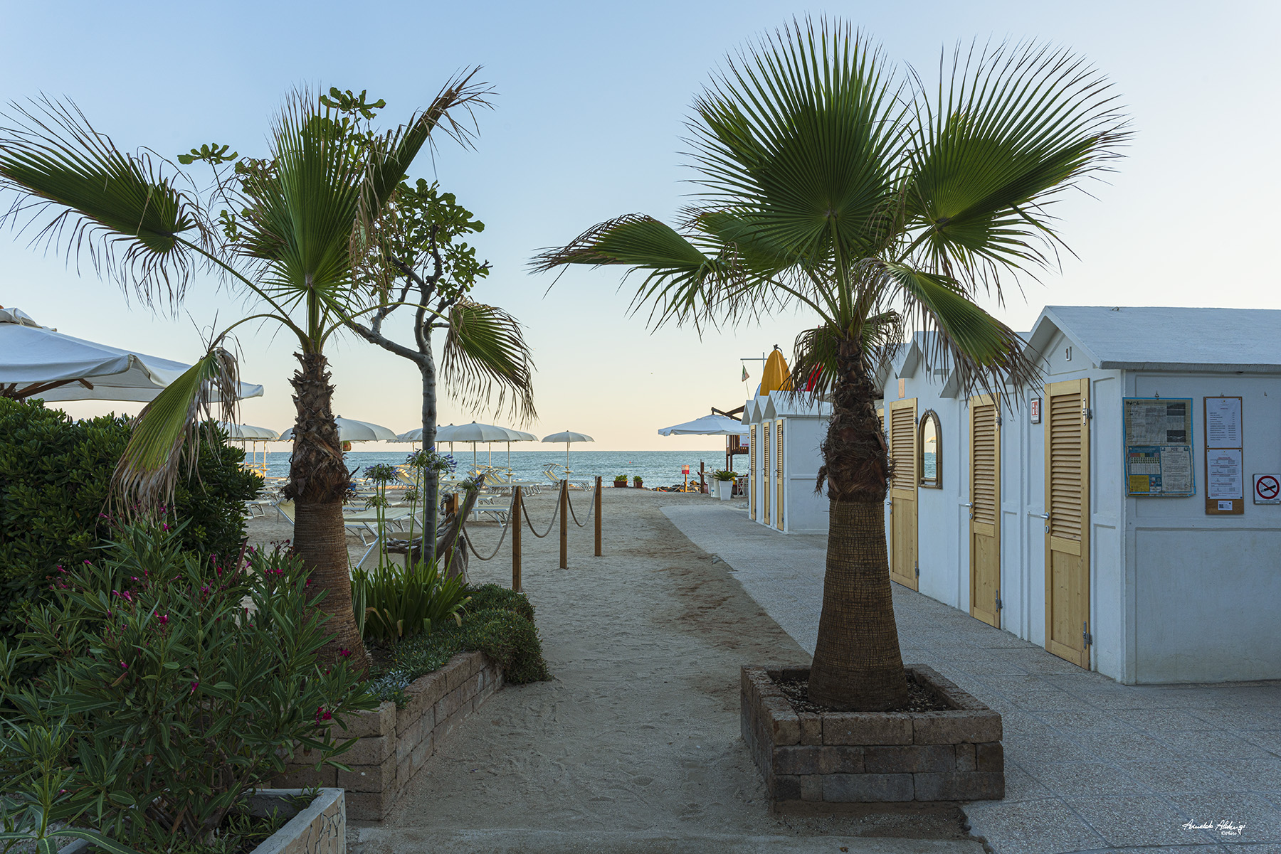 Un angolo di Relax tra le Palme..