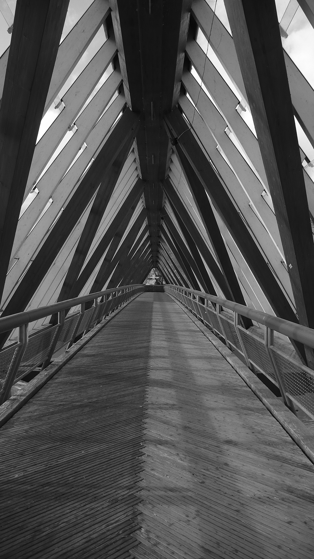 Ponte in legno moderno