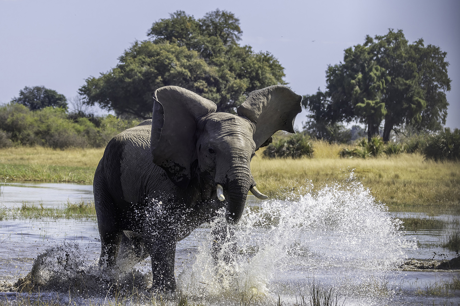 Botswana luglio 2022