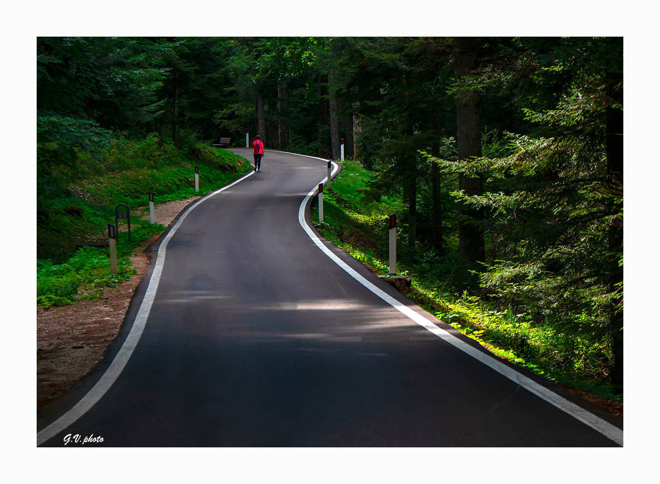 C'� una strada nel bosco