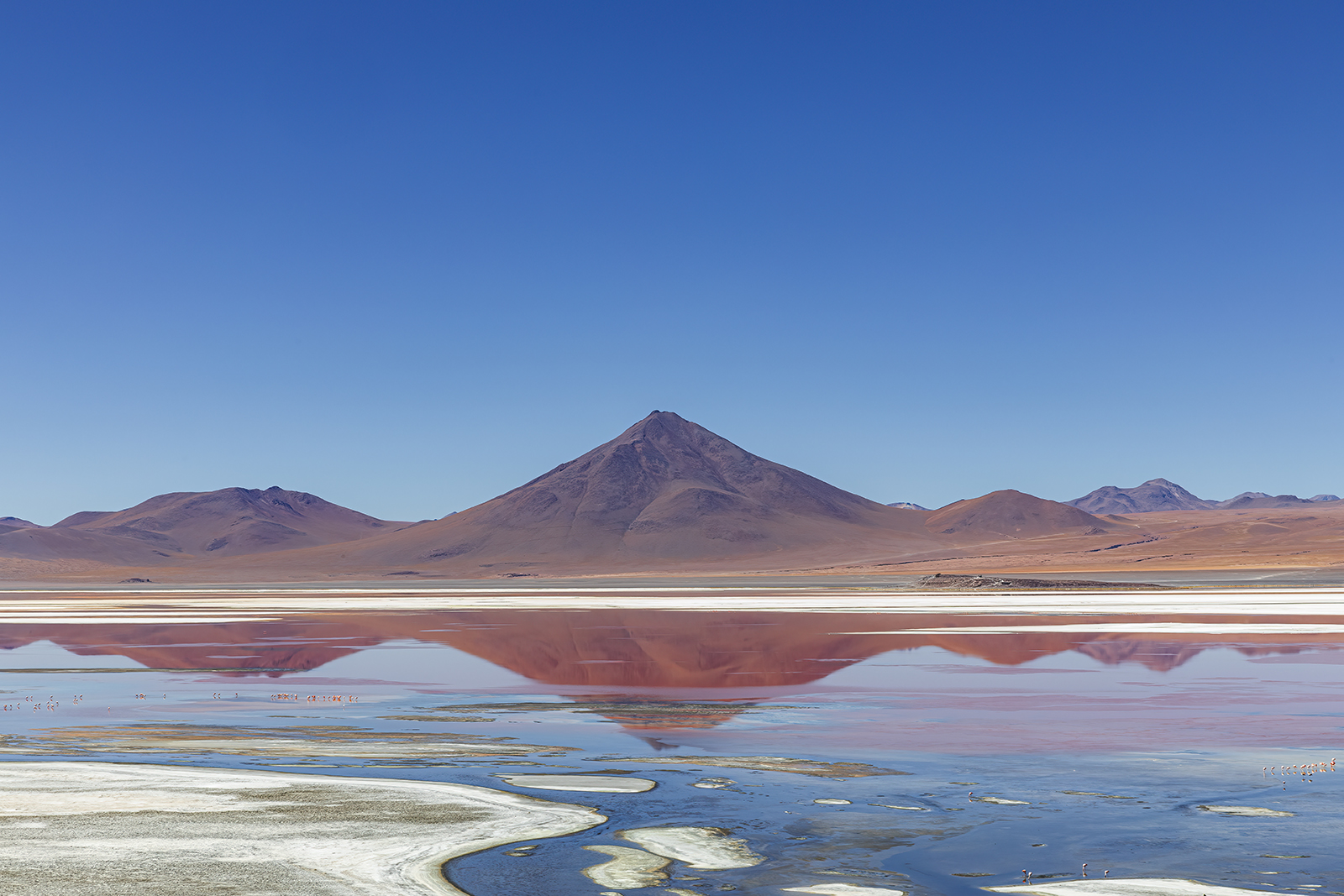 Bolivia 2019. Laguna Colorada