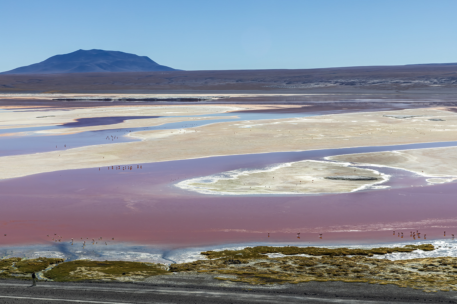 BOLIVIA 2019. Laguna Colorada