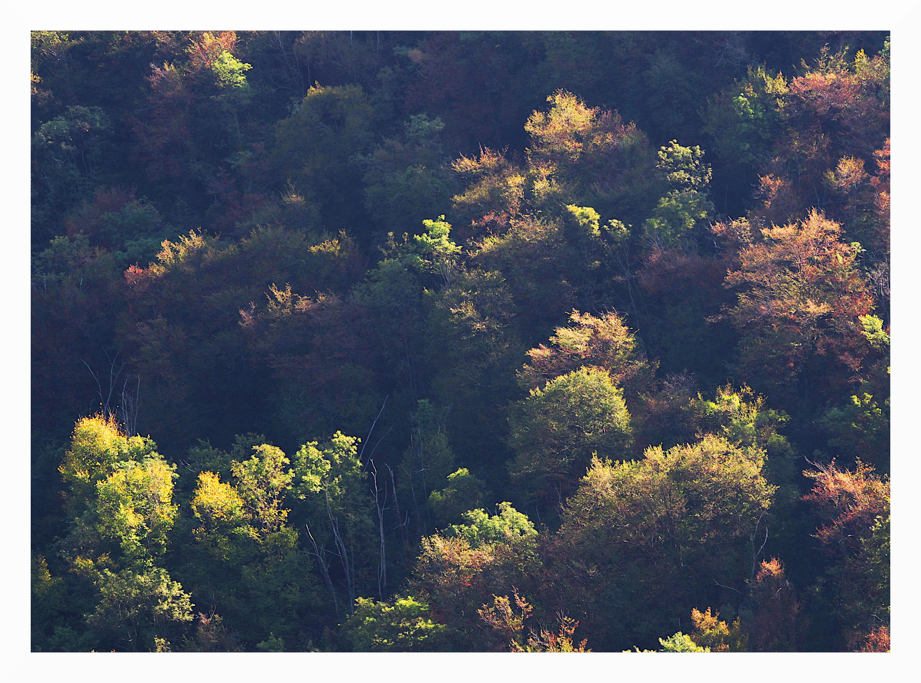 Pennellate autunnali