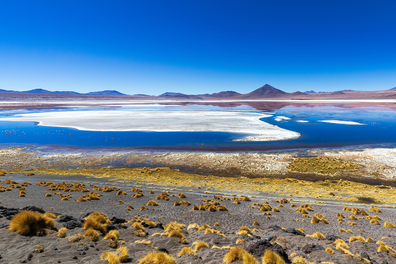 Bolivia Laguna Colorada 3