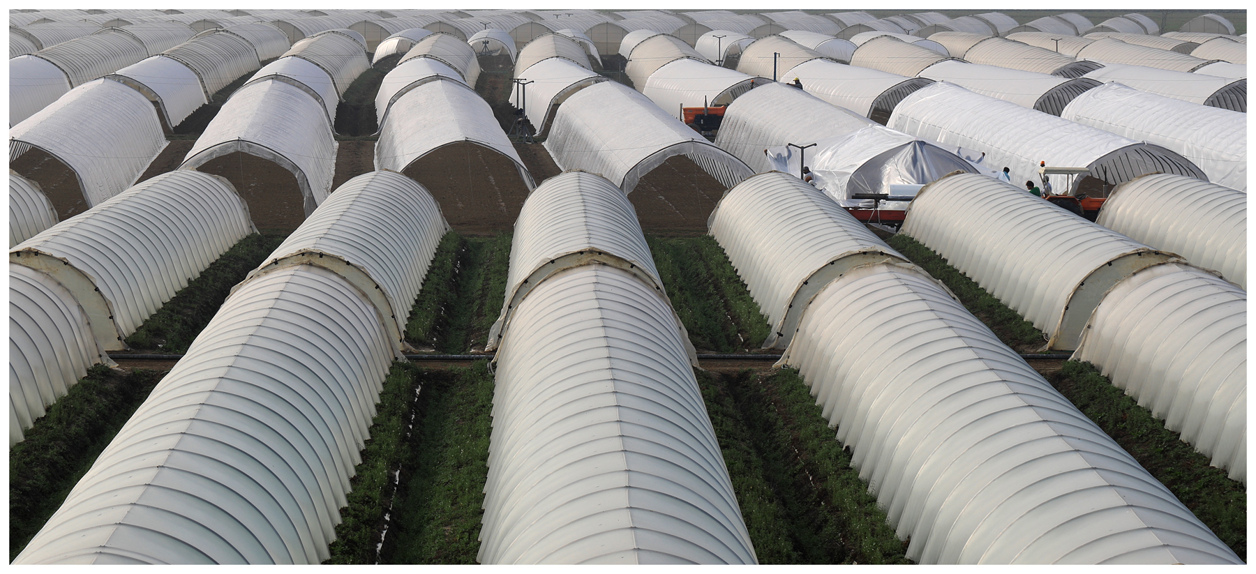 architetture campestri...