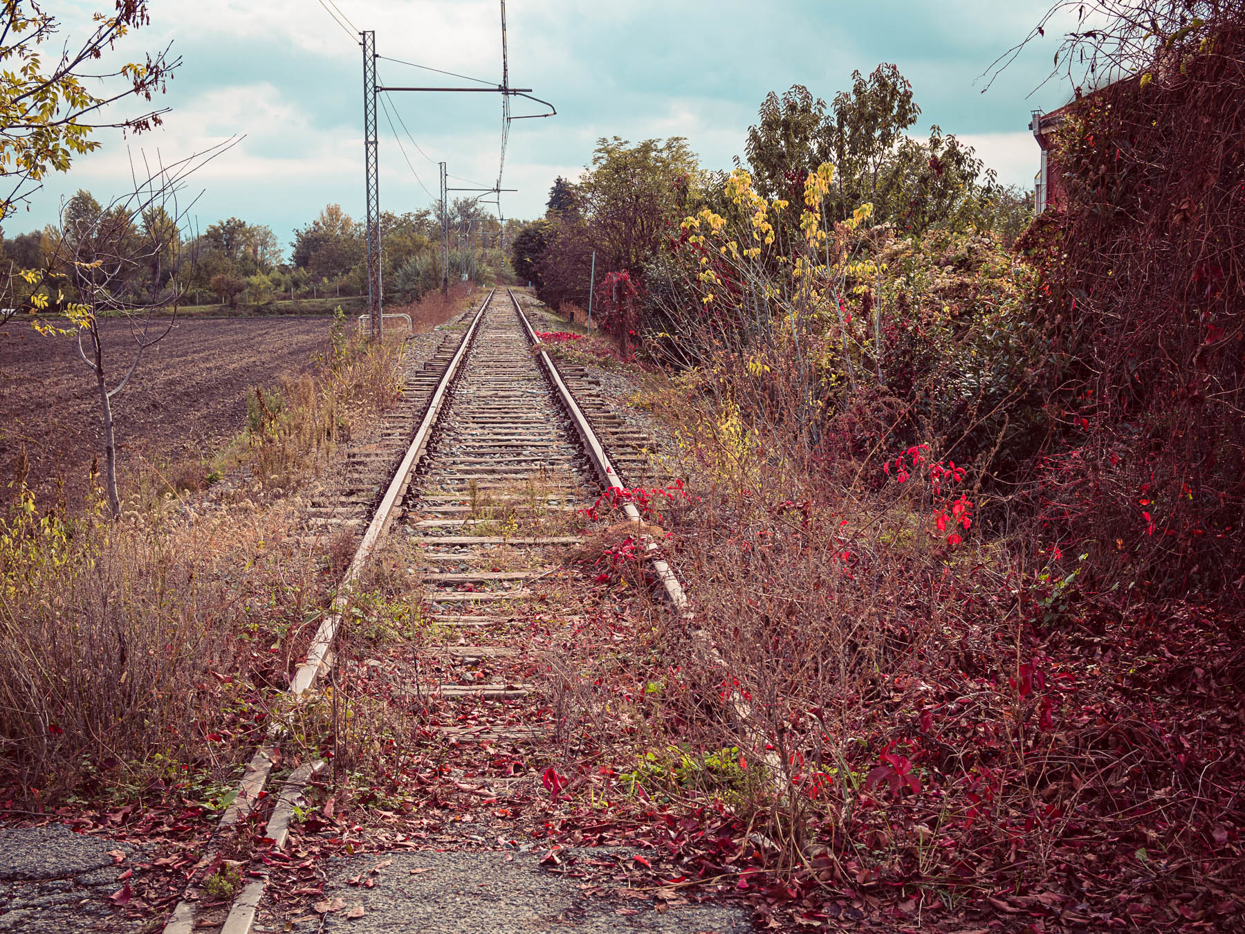 Abandoned railway