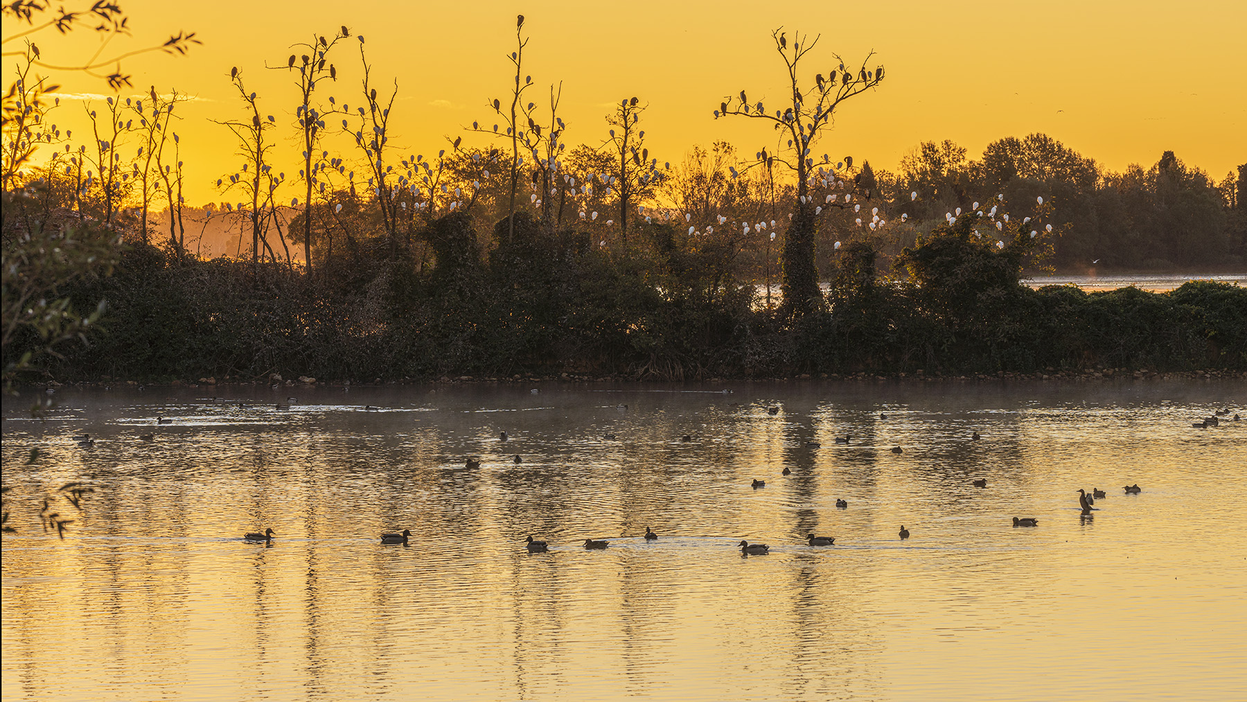Prime luci sul lago..