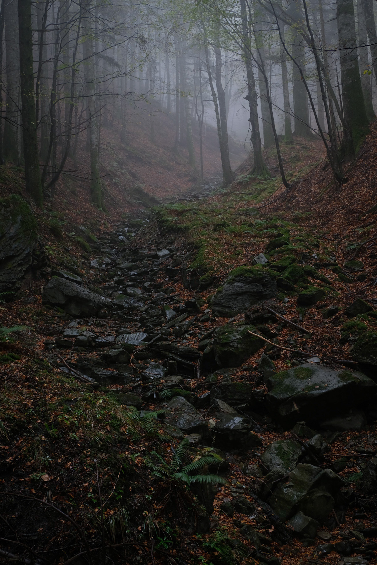 Perdersi per ritrovarsi