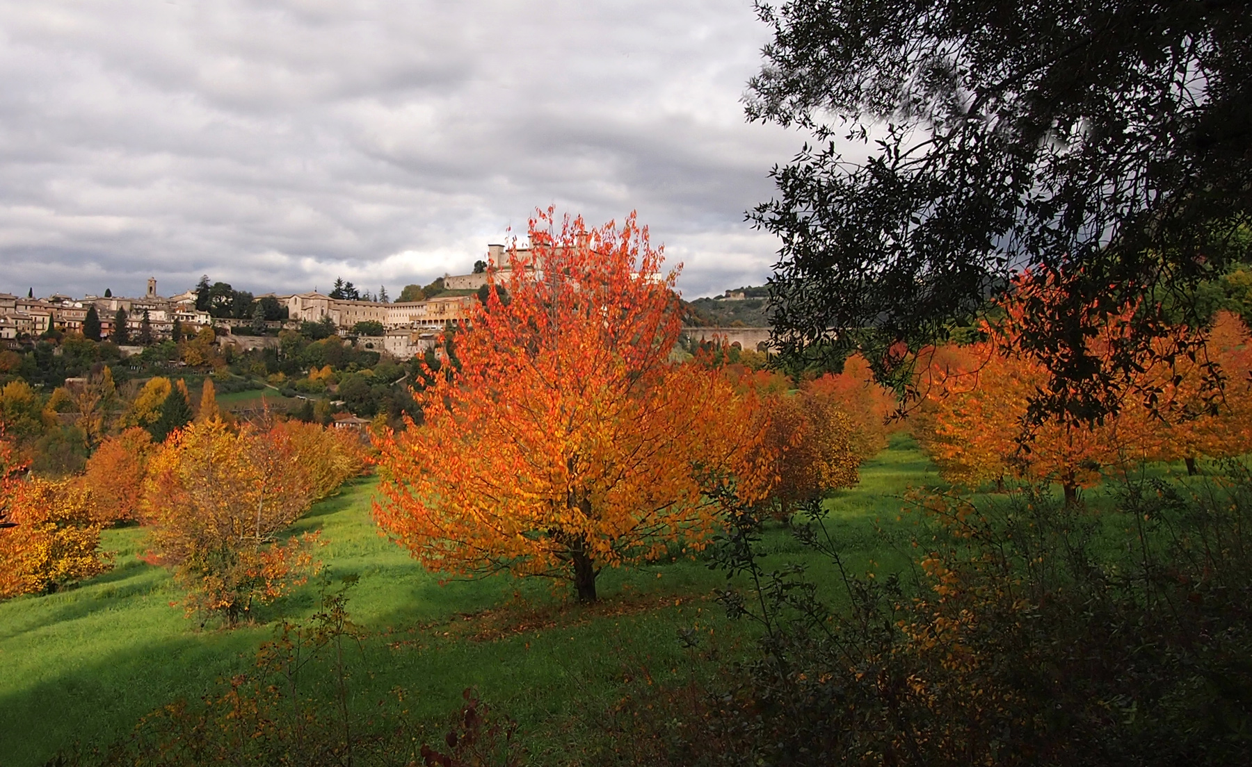 Autunno
