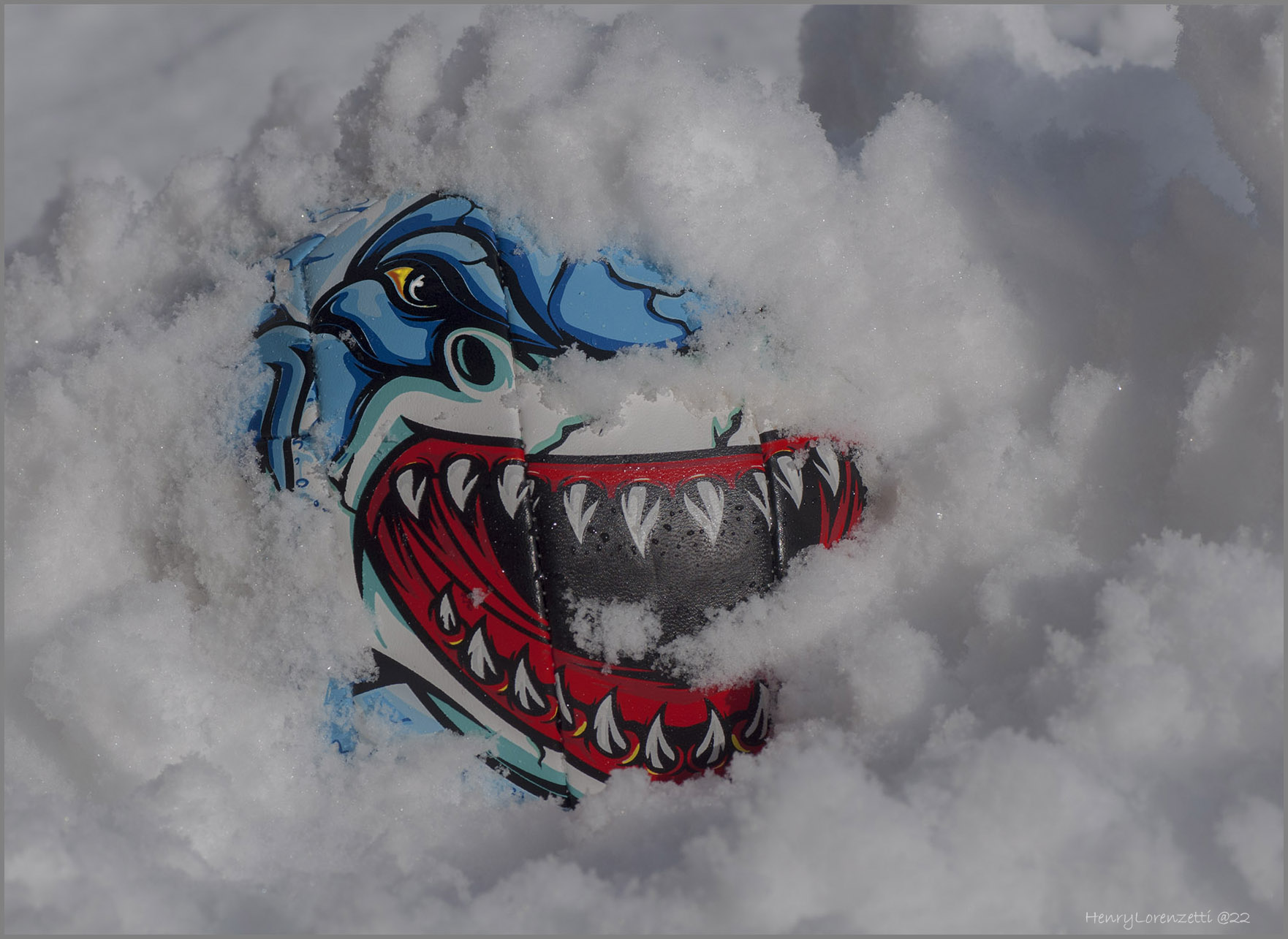 sotto la neve ....strane creature..