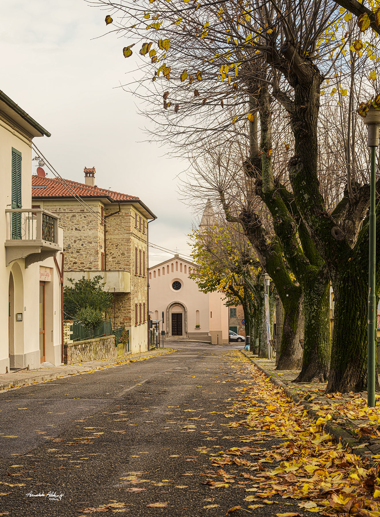 vialetto autunnale..