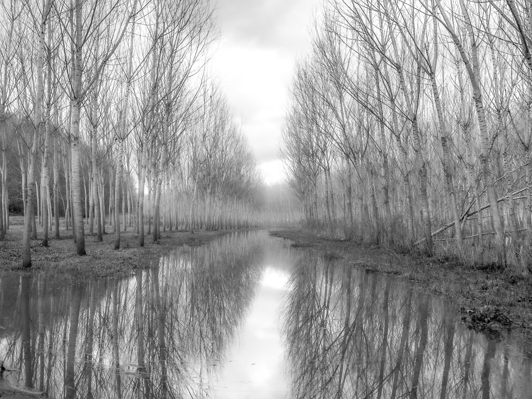 inverno in Padule II