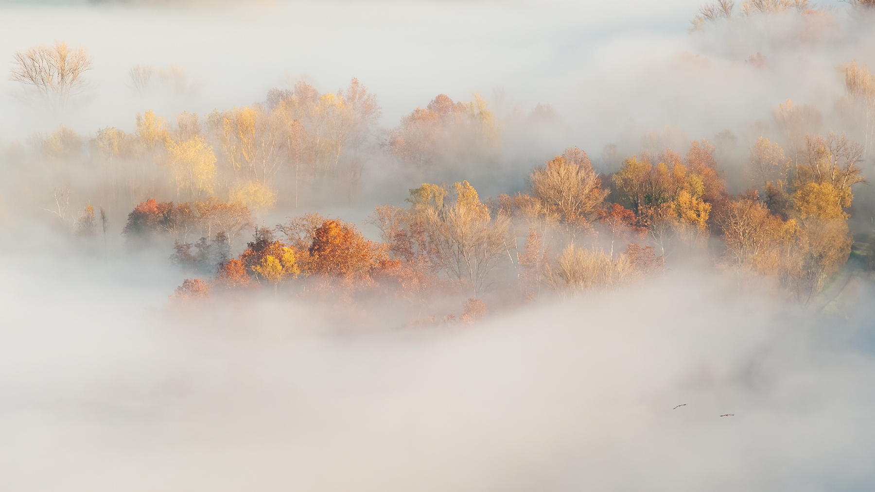 Autunno tra le nebbie