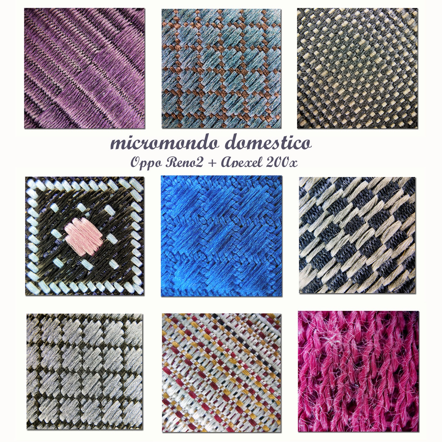 Micromondo domestico Oppo Reno2 + Apexel 200X