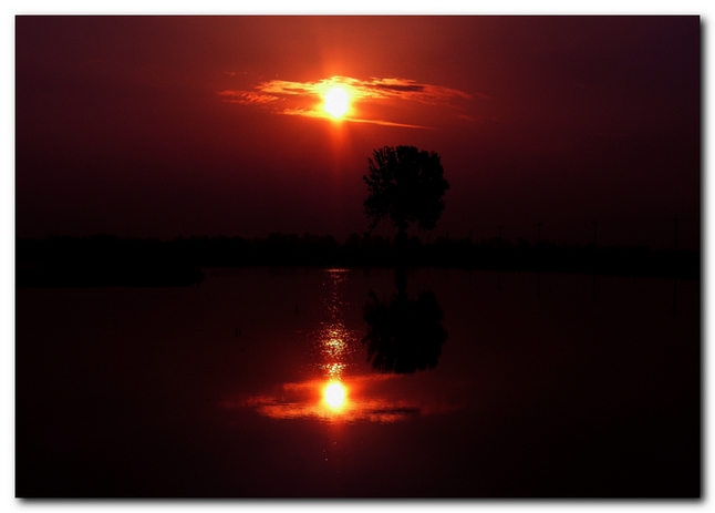 elaborazione cromatica