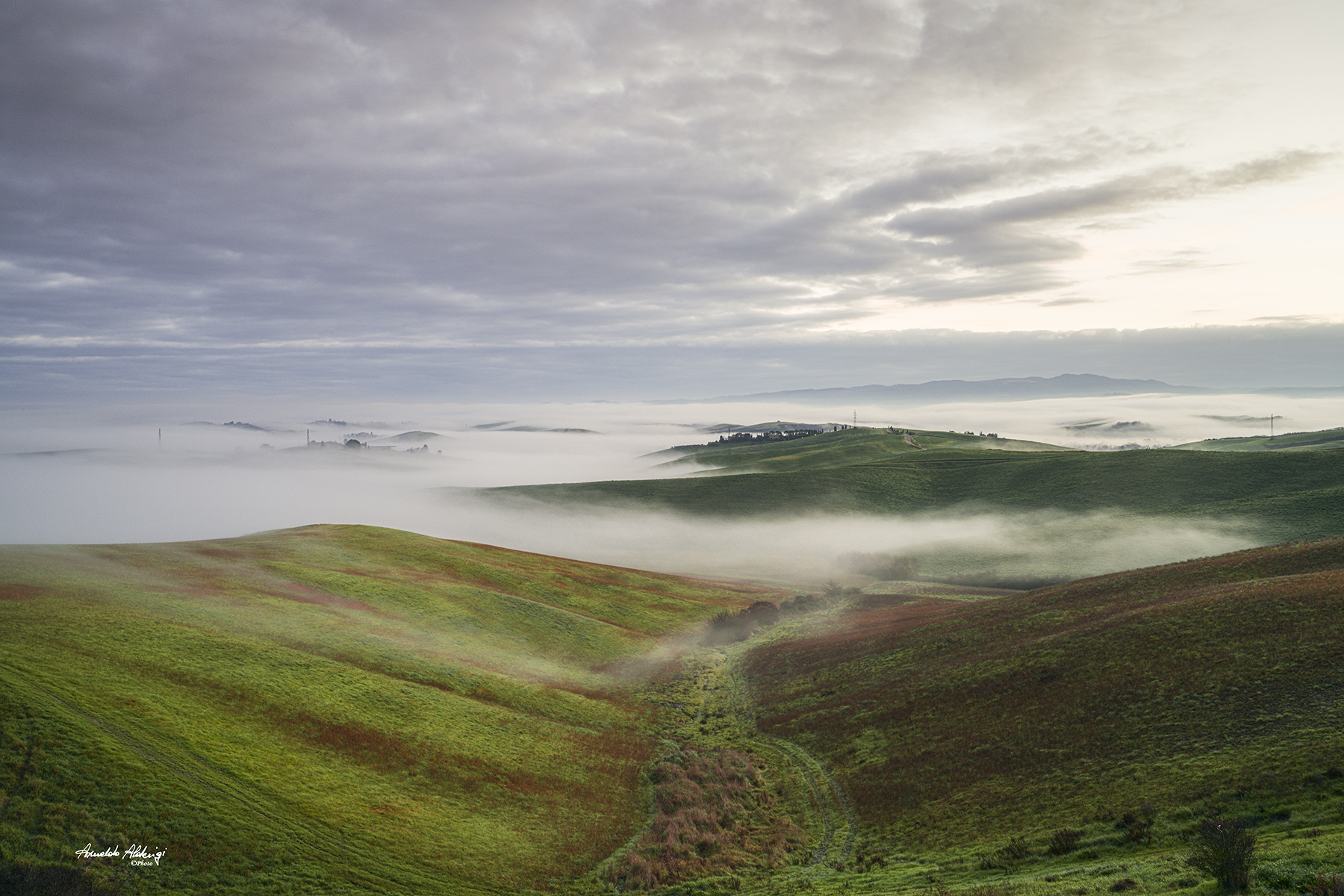 Nel silenzio.. emerge la nebbia nella valle. Lajatico