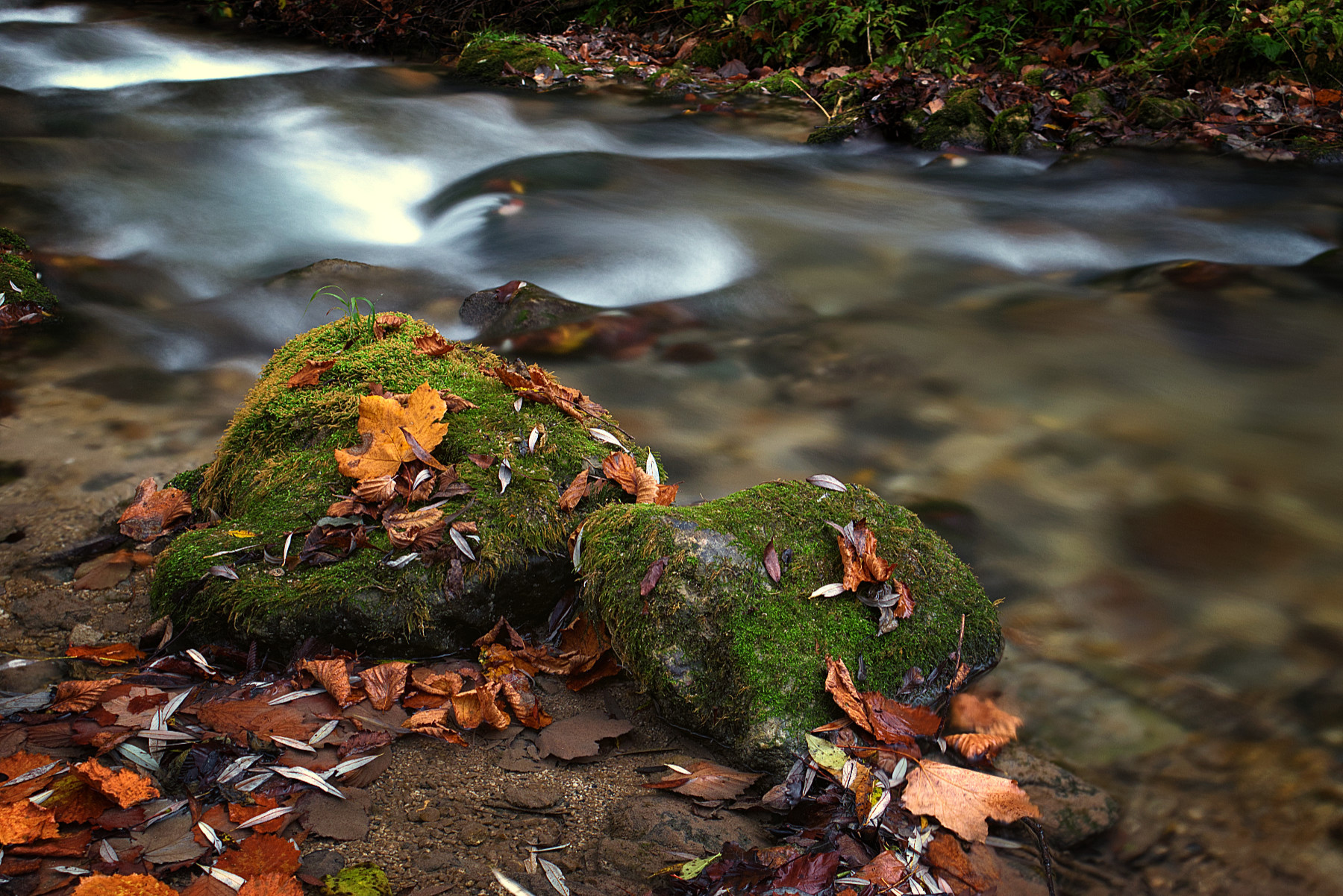 Critica al Buio - Foto 099
