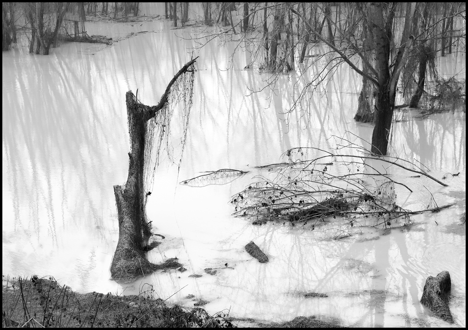 Critica al Buio - Foto 101