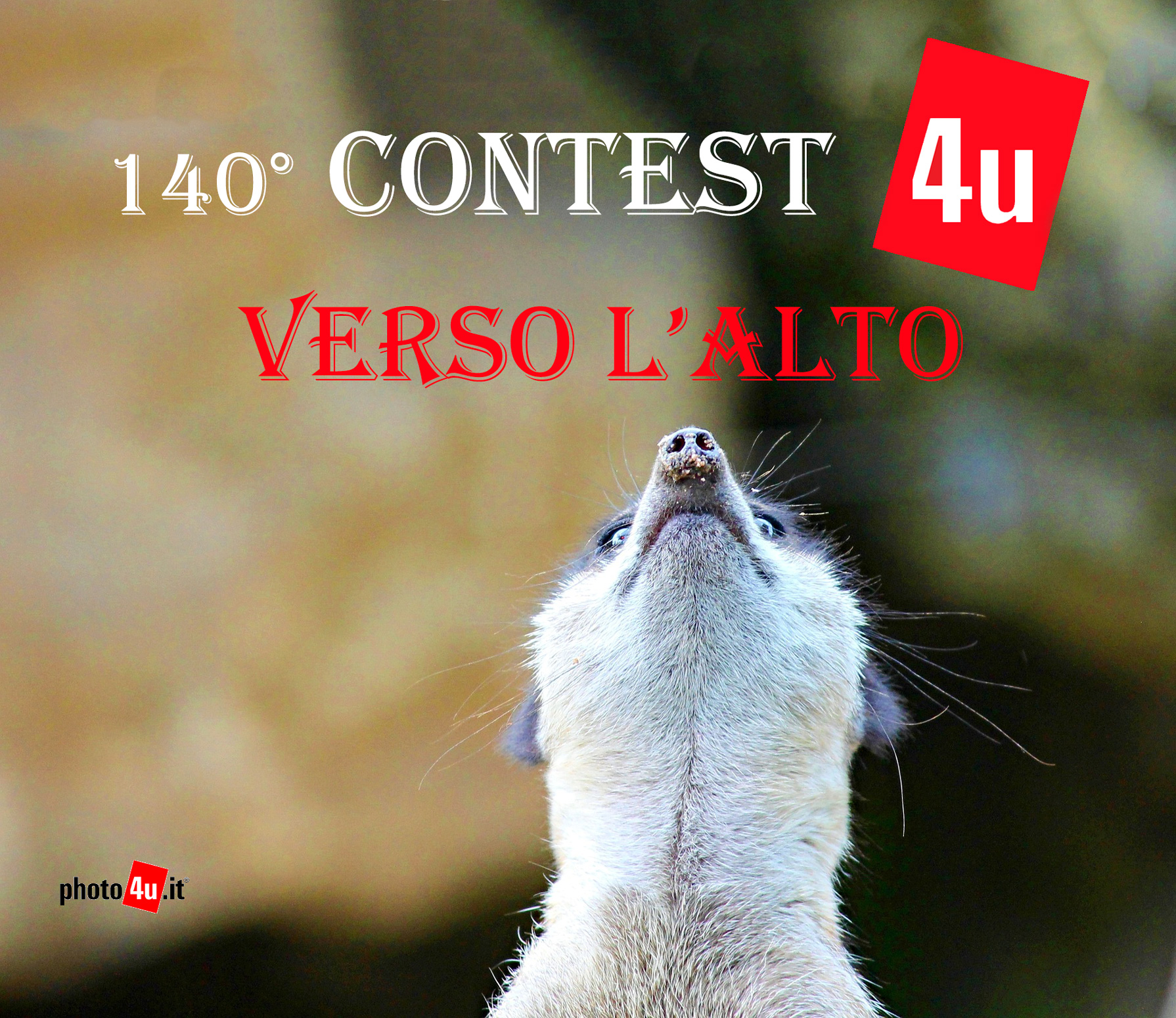 140� Contest: VERSO L'ALTO