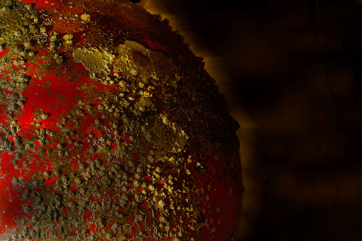 il pianeta che non c'�