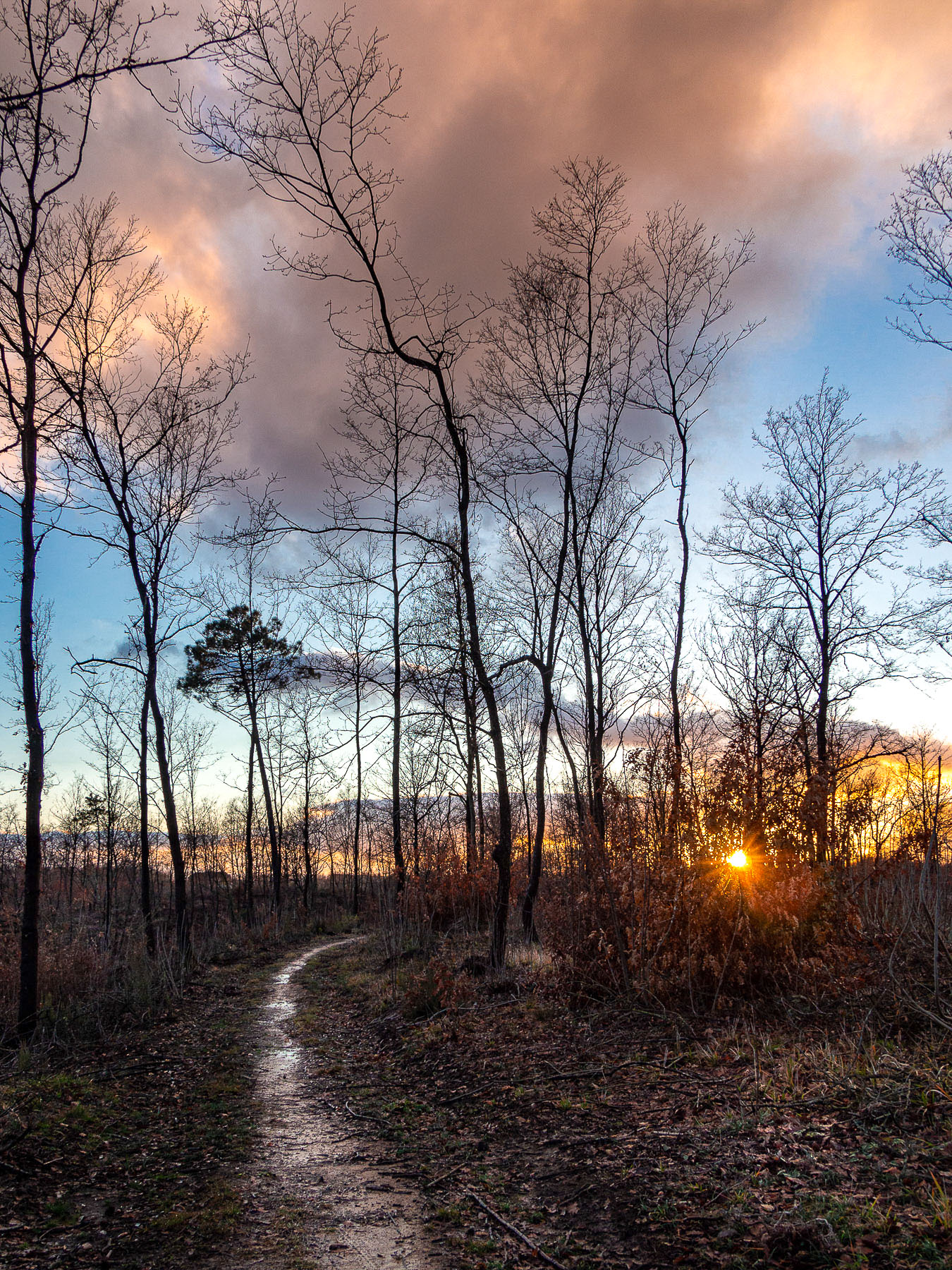 una strada verso il sole