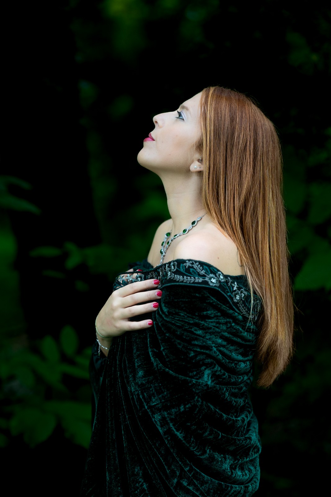 Nel profondo del bosco...