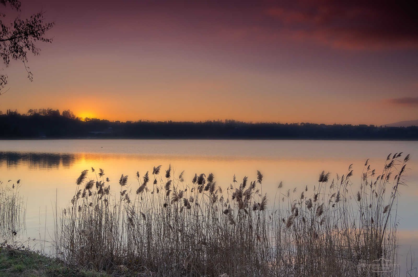 ..ed � subito sera