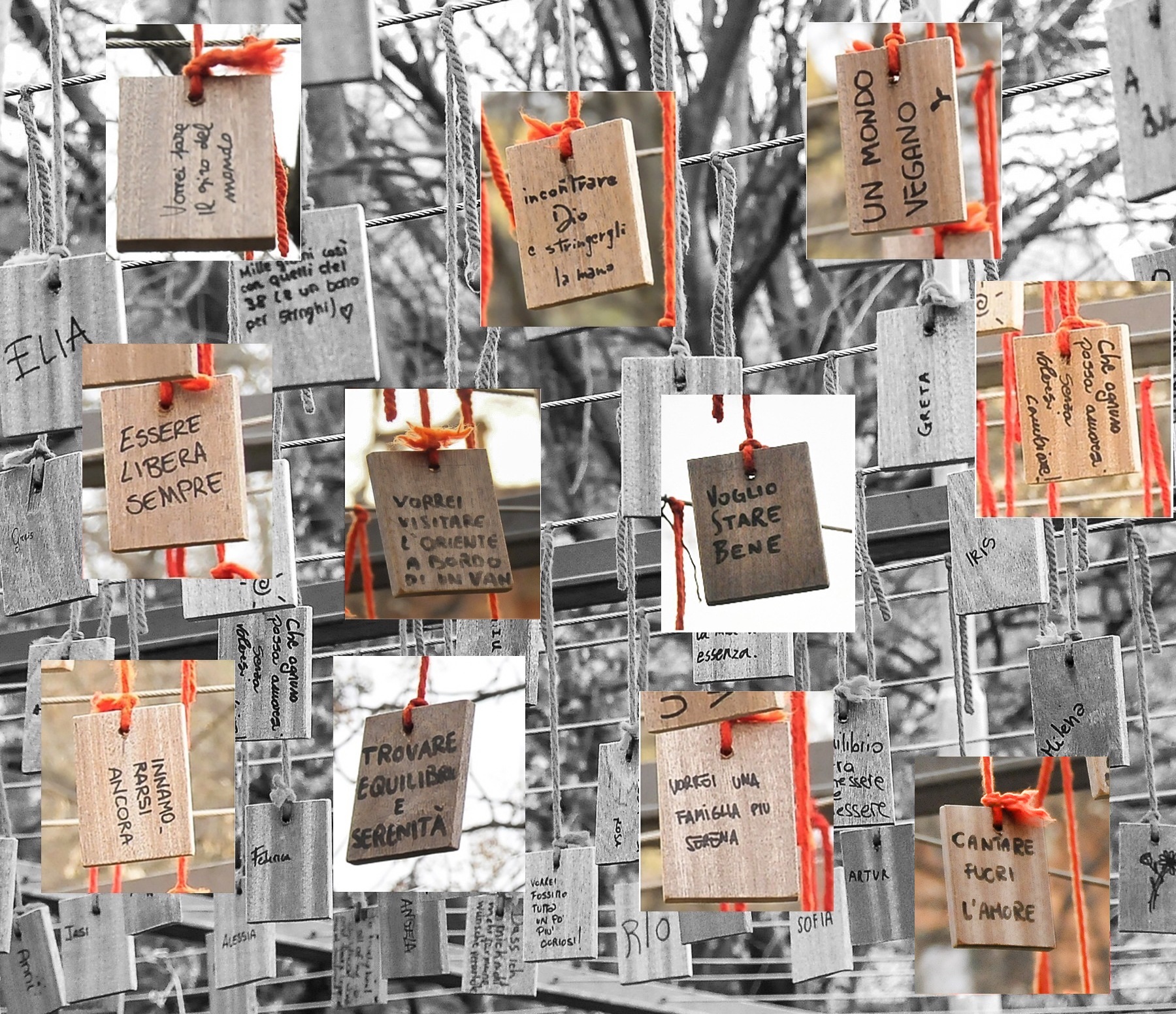 L'albero dei desideri