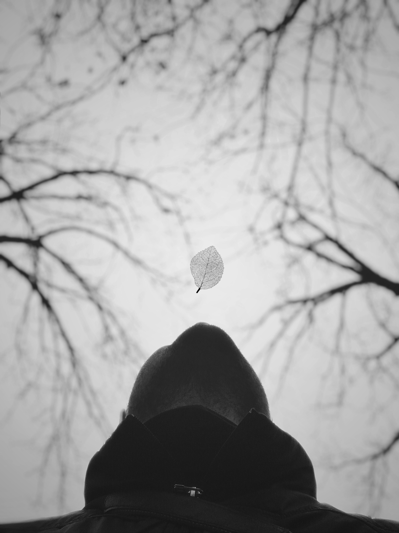 La vita � un soffio