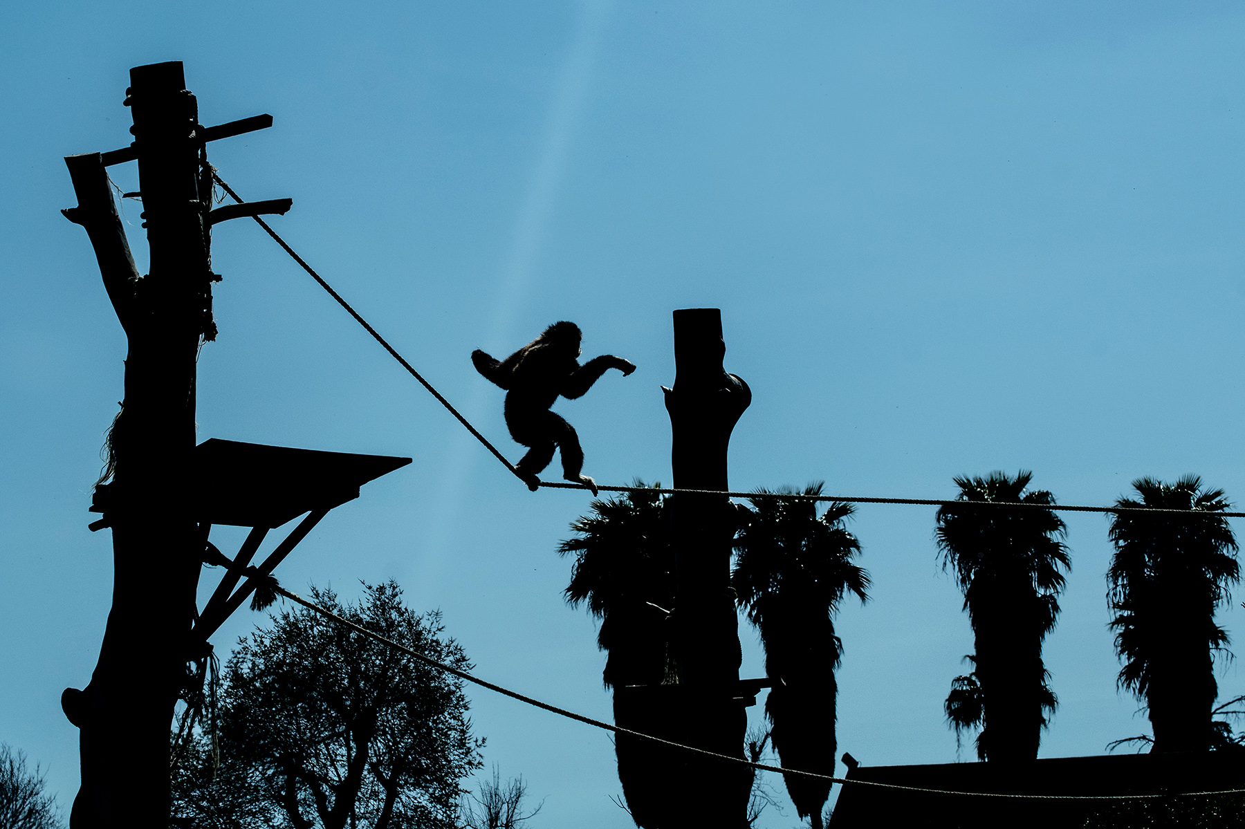 ZooSafariFasano_BA_Mar2023 (10)