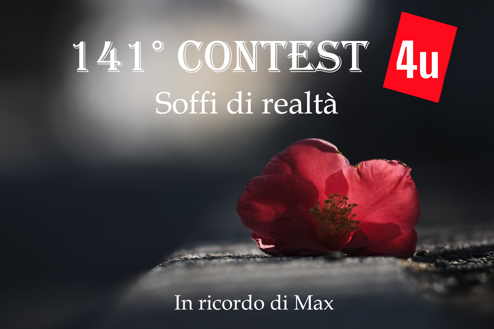141� Contest: SOFFI DI REALTA'