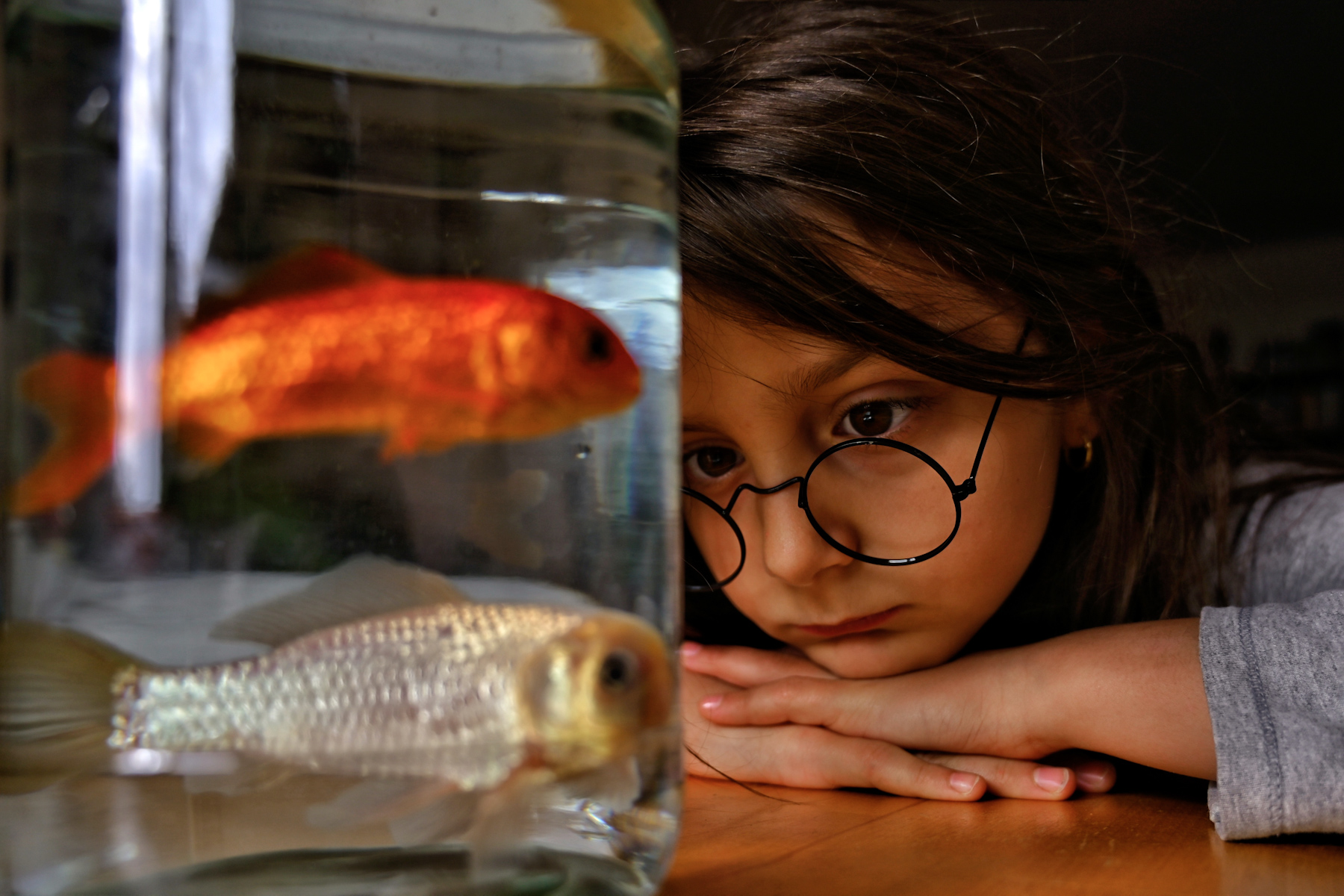 Pensieri di libert�