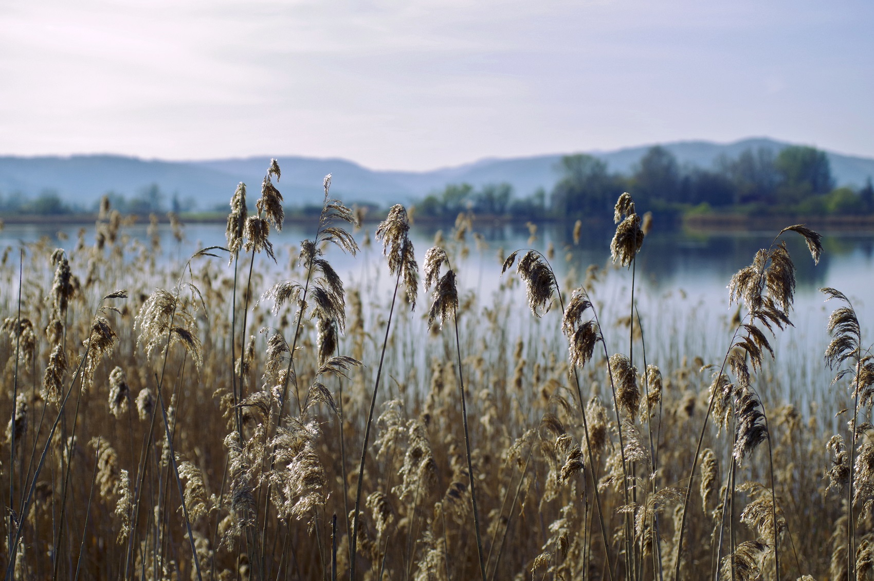Riserva di Ripasottile