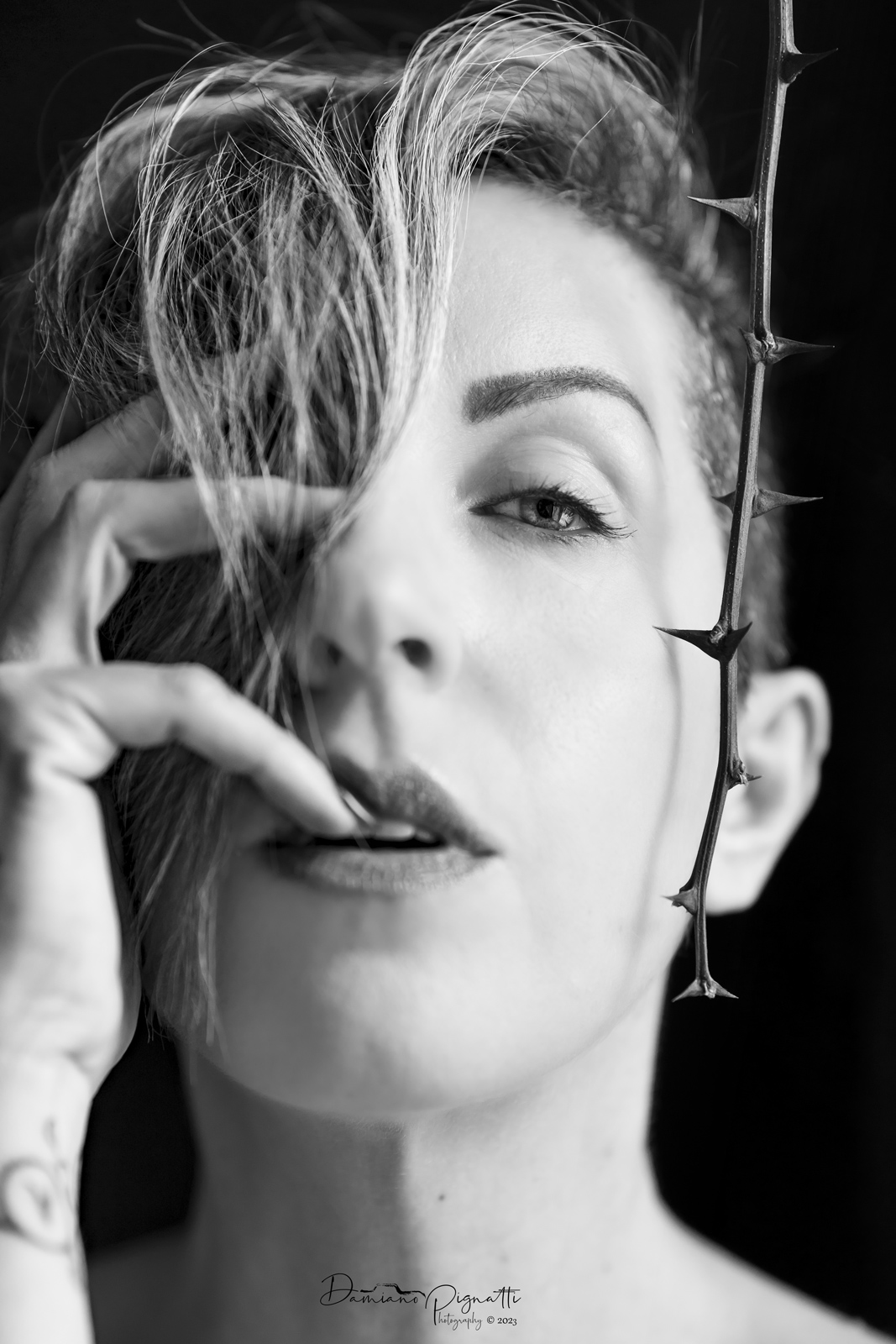 Non c'� rosa senza spine