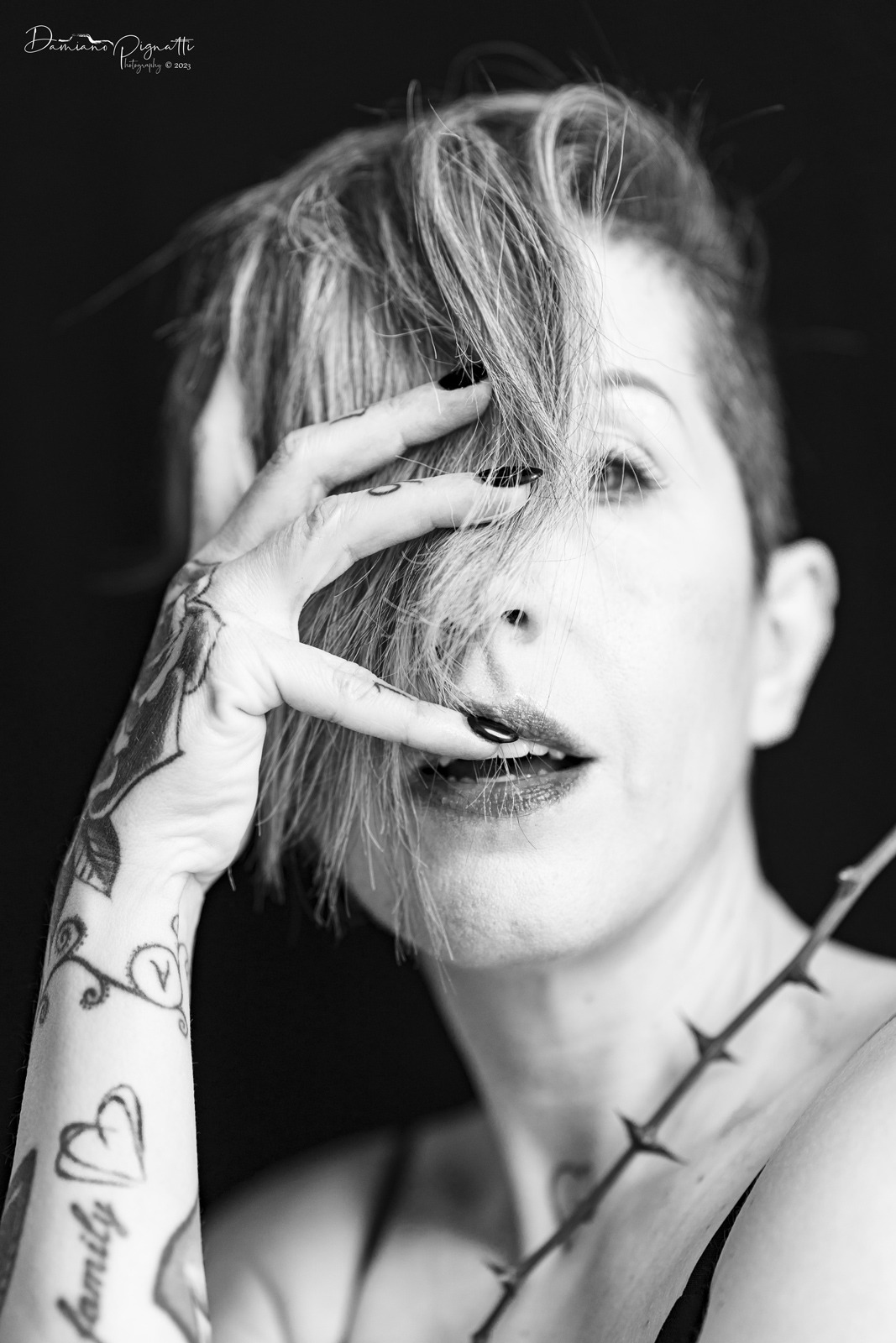 dalla serie ''Non c'� rosa senza spine "