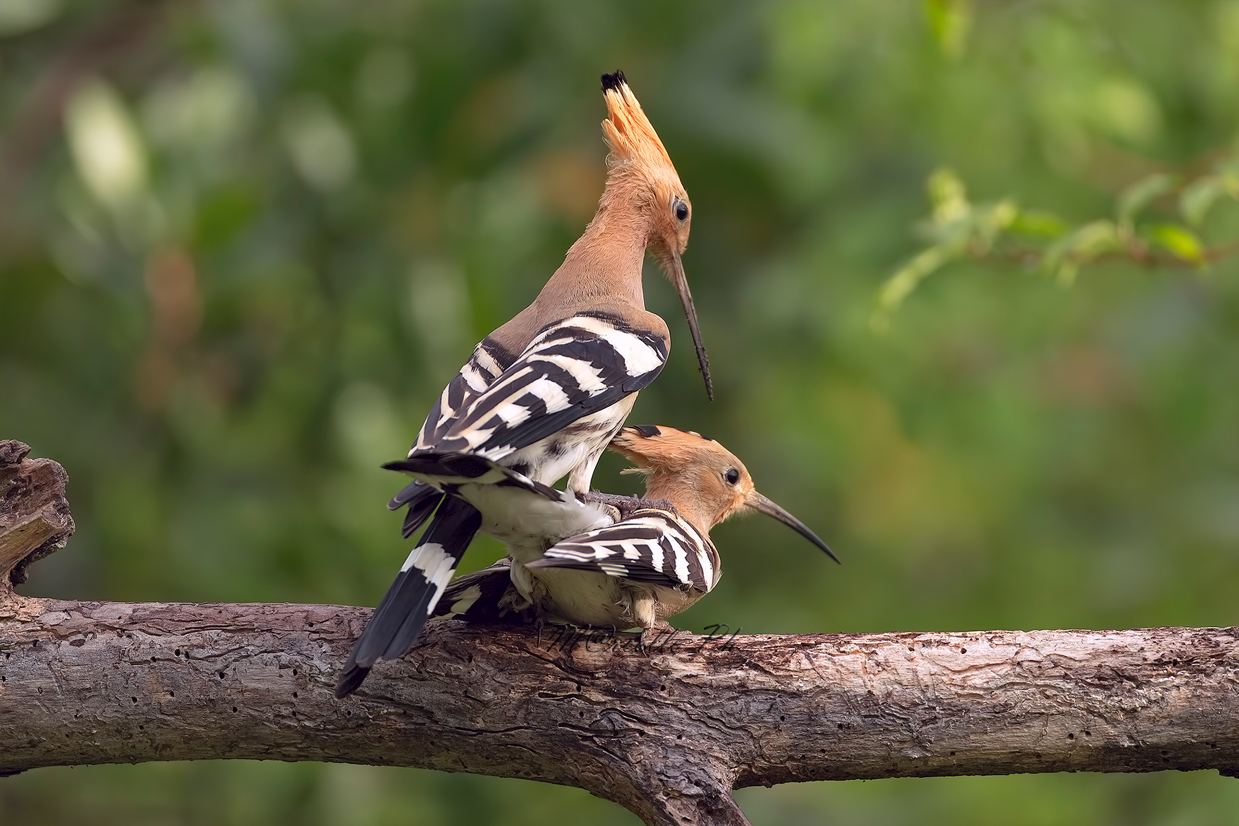 Dopo il dono...la ricompensa