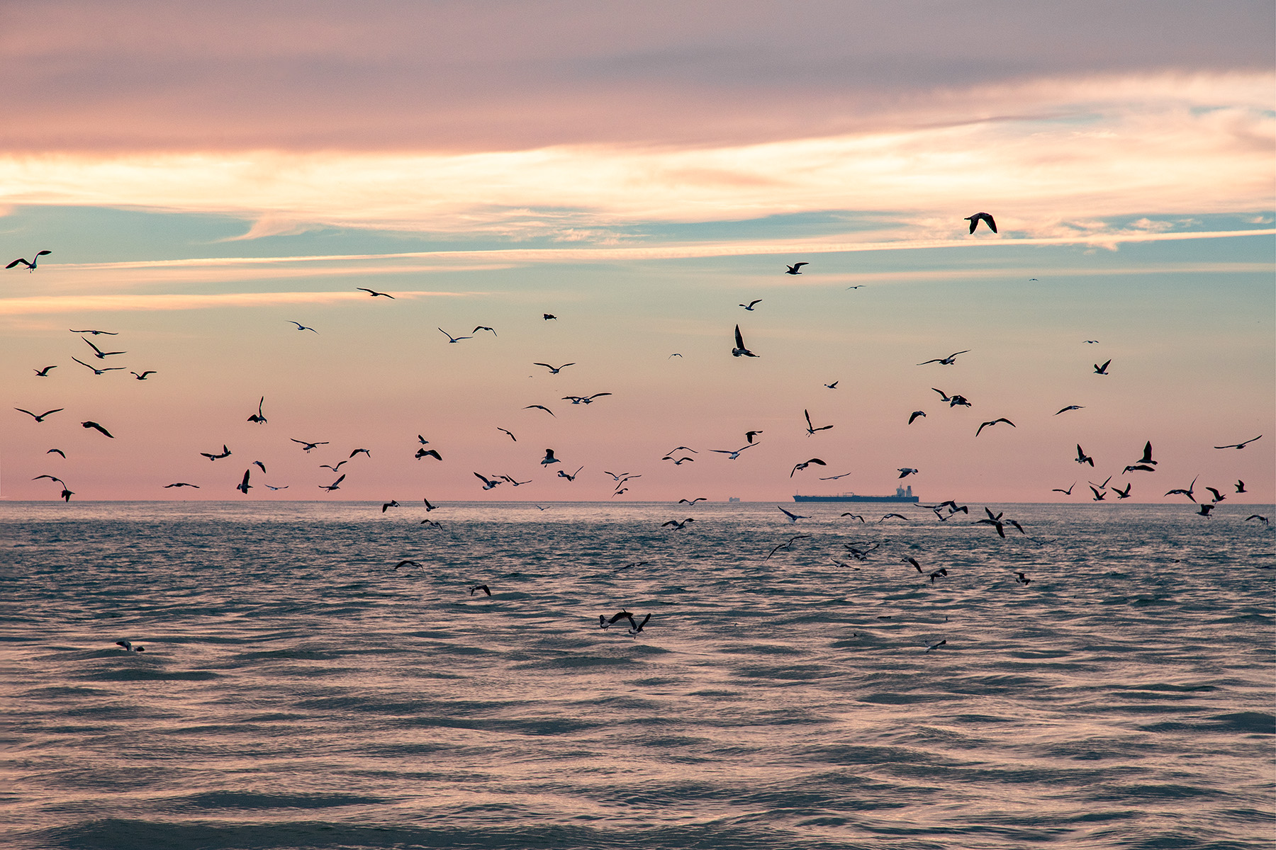 DarsenaFiumicino_RM_Ott22_4