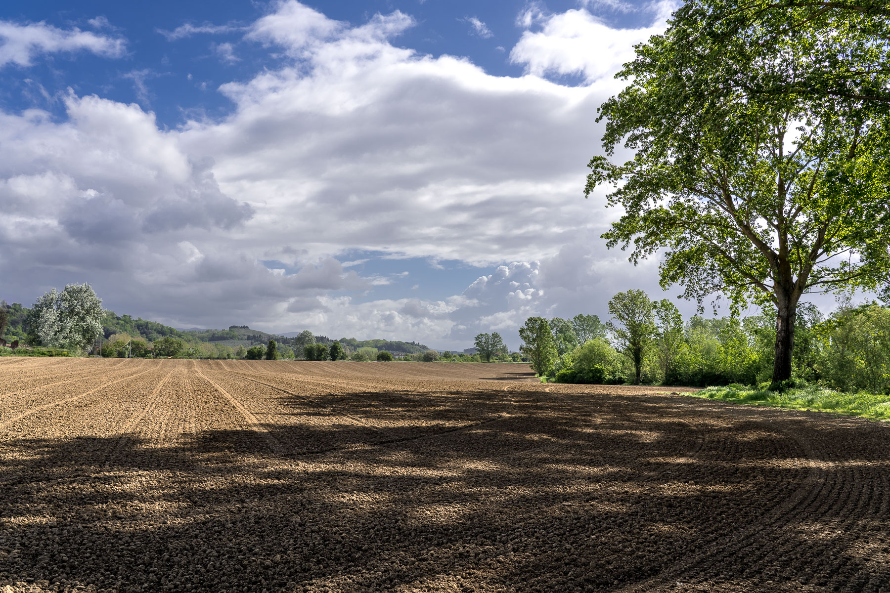 allestimento in corso