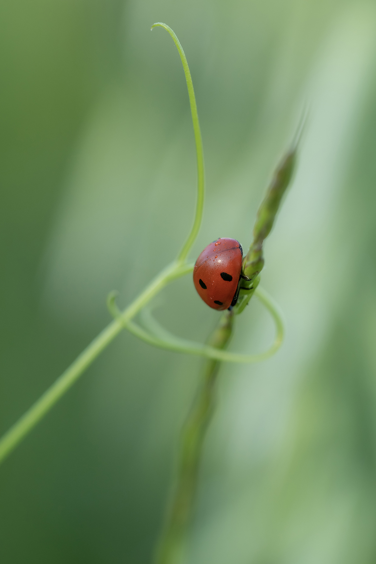 Macro_Giulianello_RM_Mag2023_3