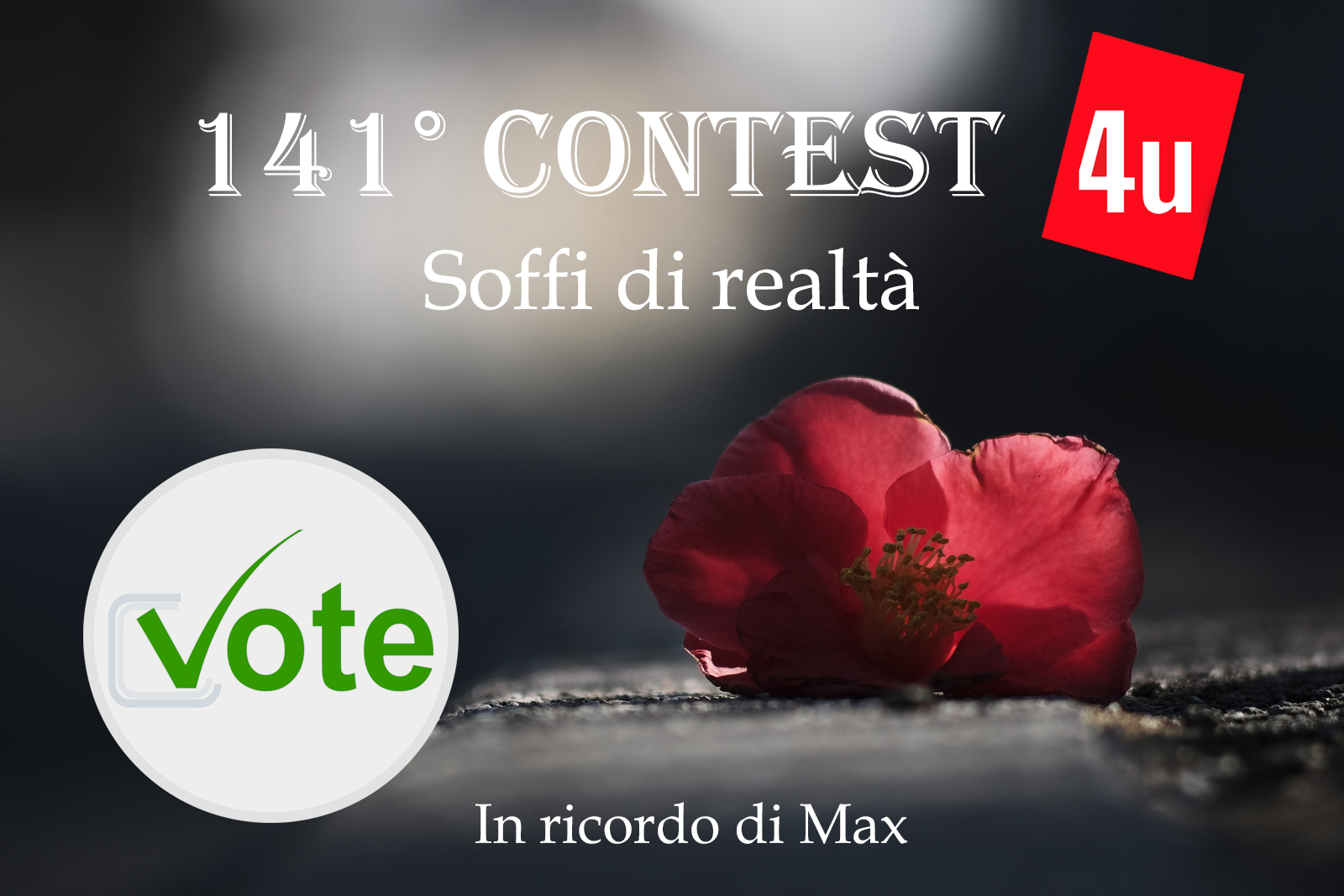141� Contest SOFFI DI REALTA' - Votazione Aperta