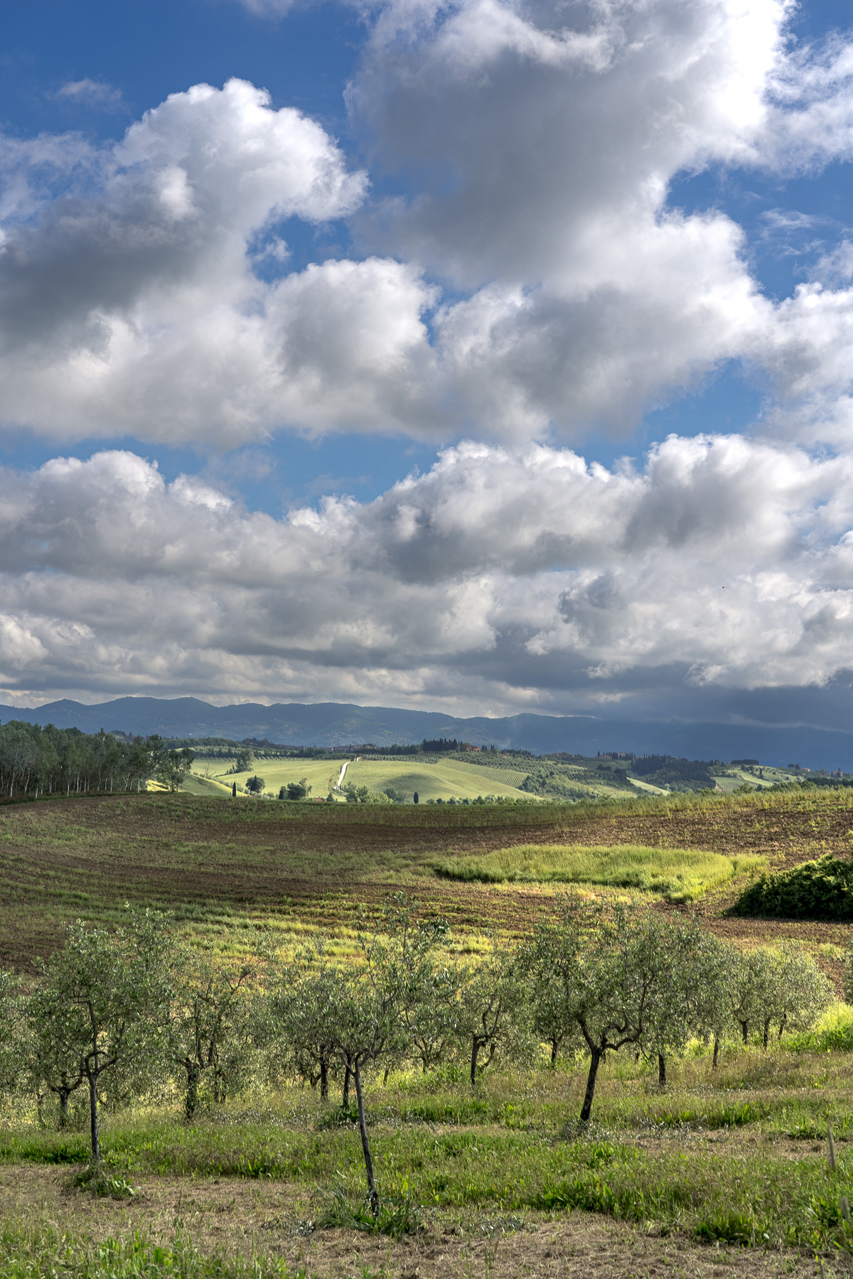 su e gi� per la campagna II