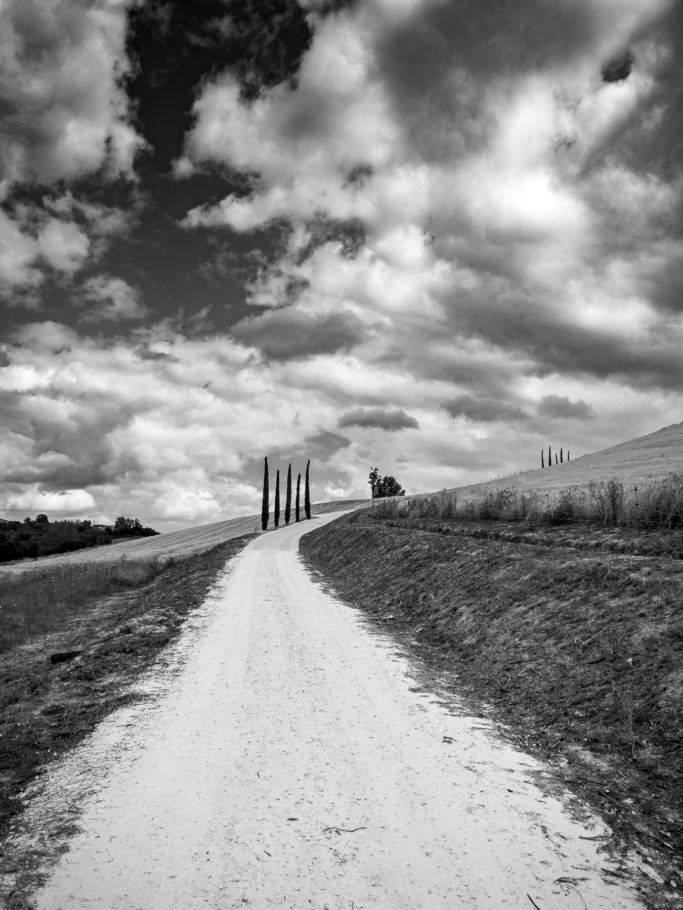 la Toscana in grigio