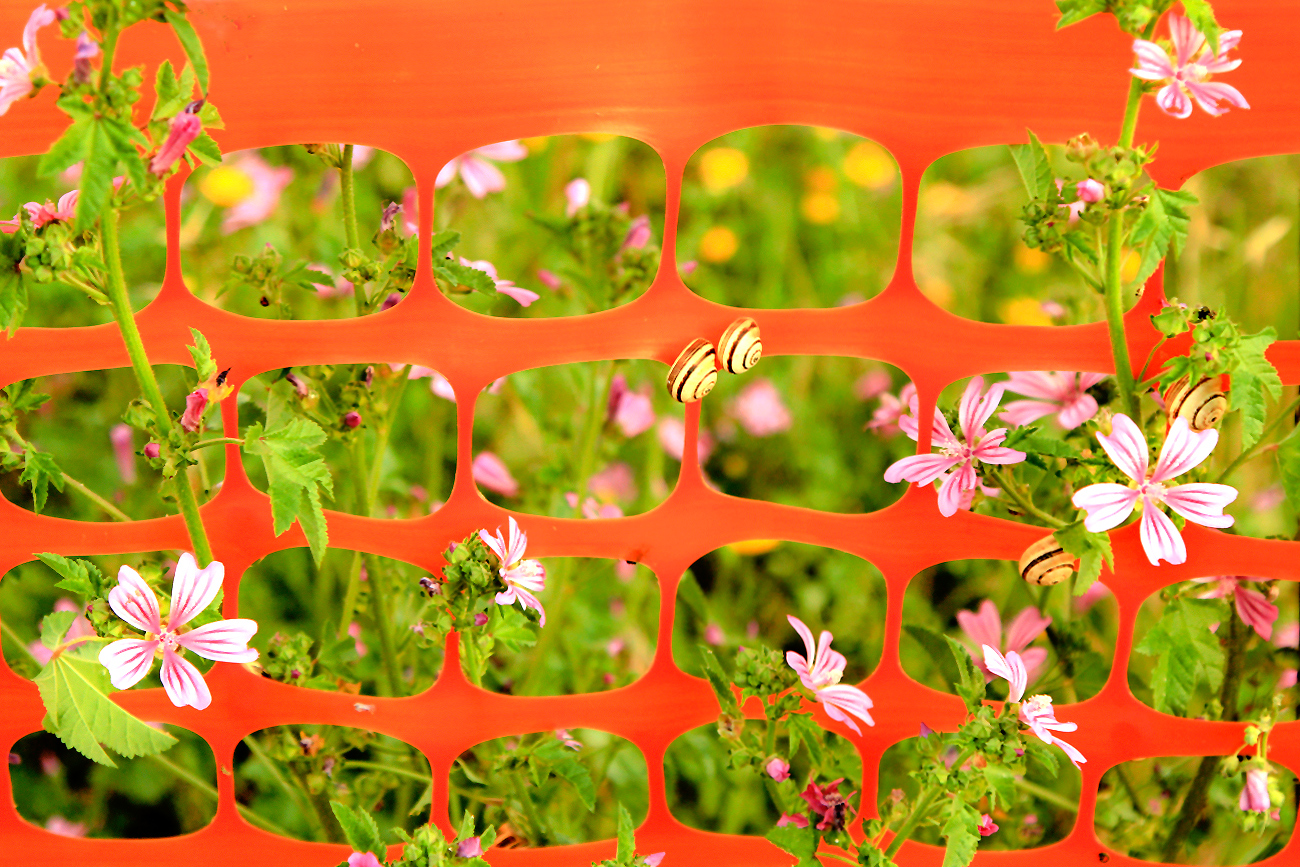 Primavera di cantiere