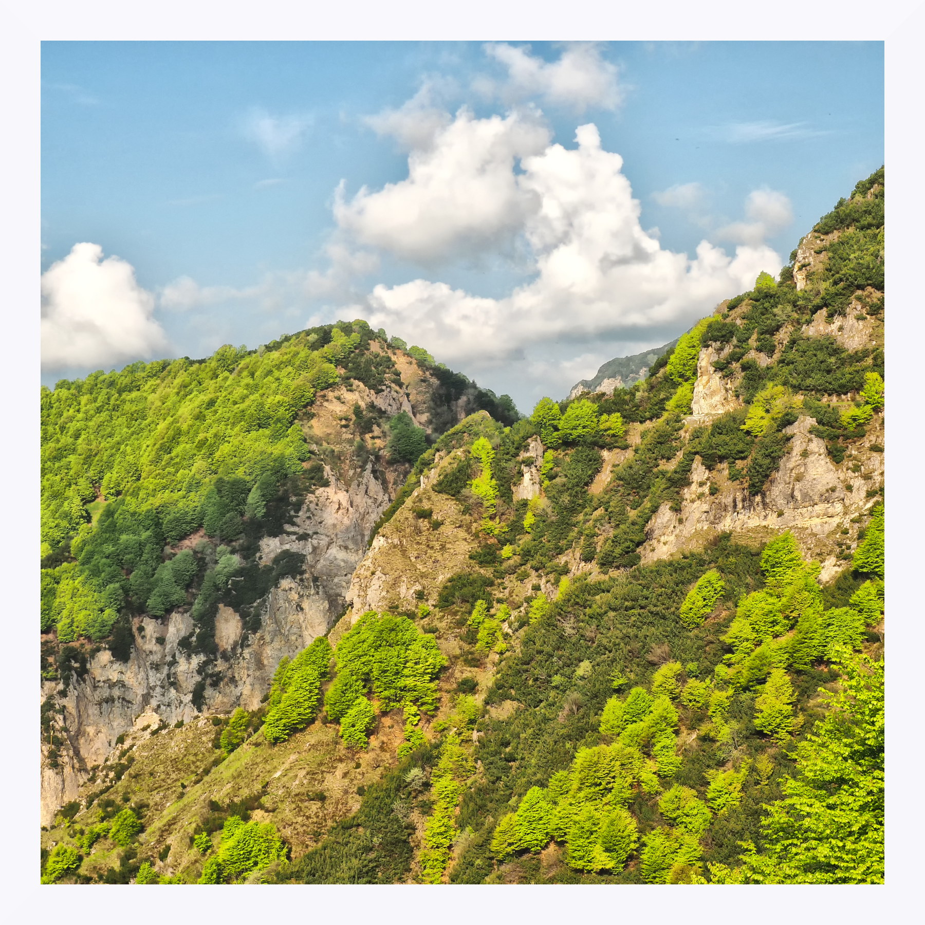 Primavera in  alta Val Chiampo