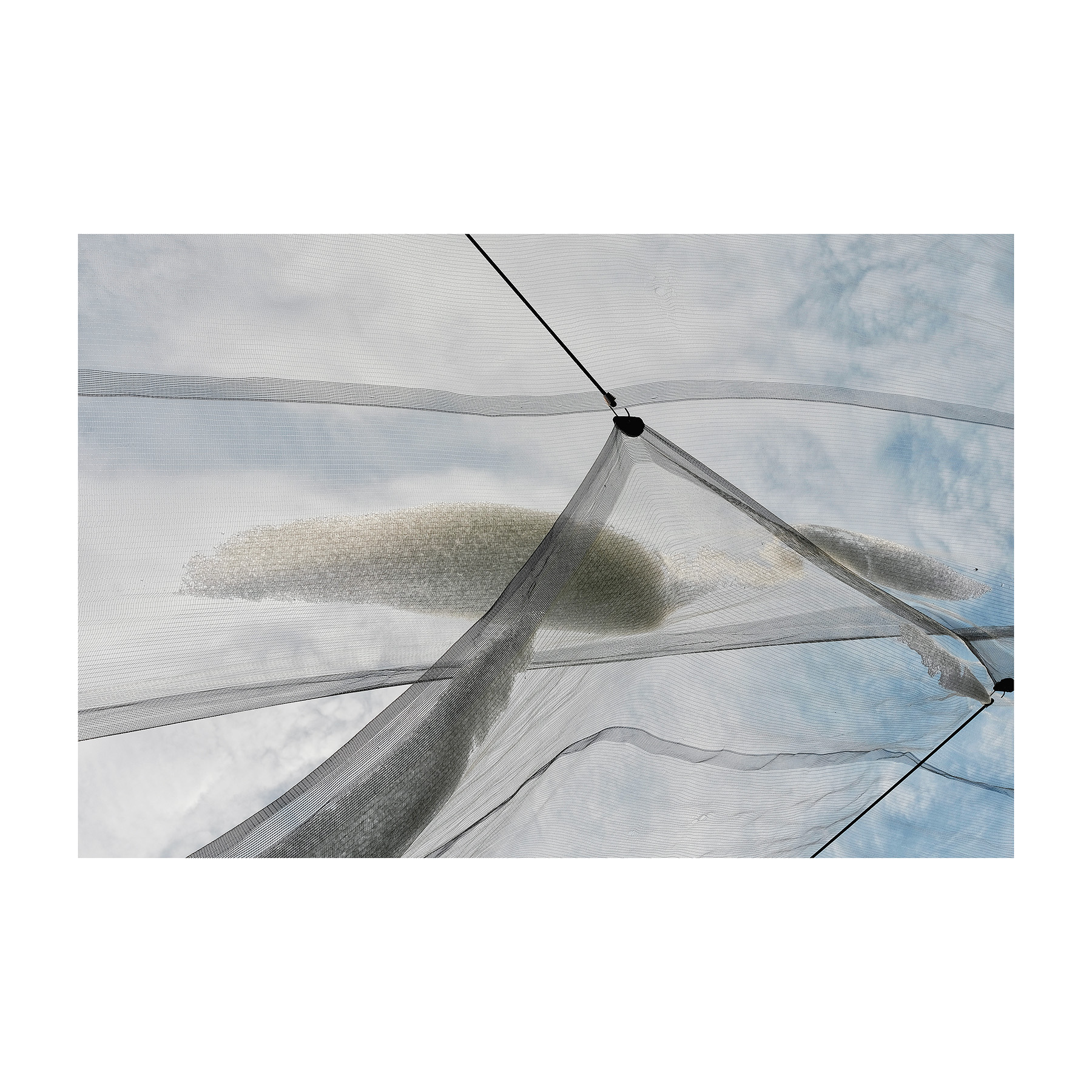 Bersaglio Mancato #o2